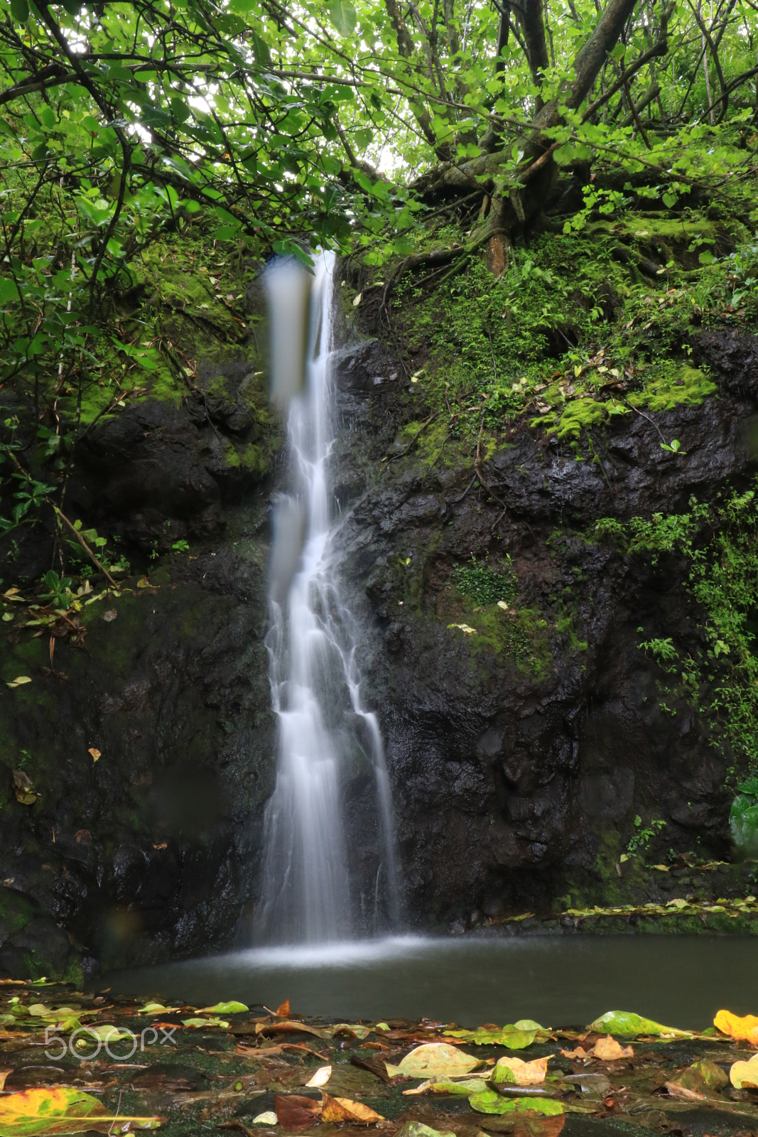 Canon EF 16-35mm F4L IS USM sample photo. Waterfall - tahiti photography