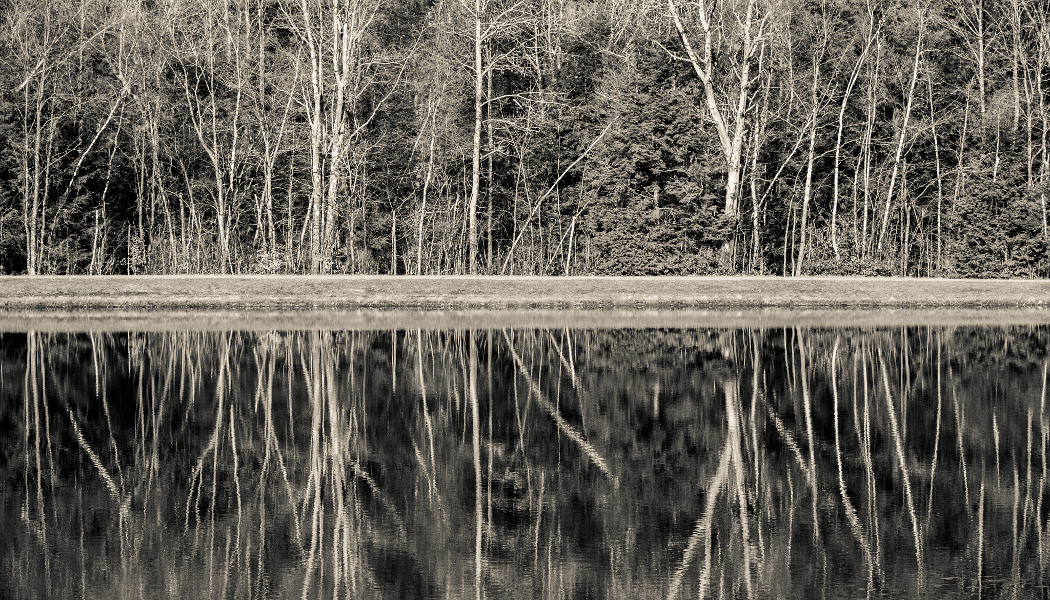 Canon EOS 550D (EOS Rebel T2i / EOS Kiss X4) sample photo. Symmetrical reflections photography