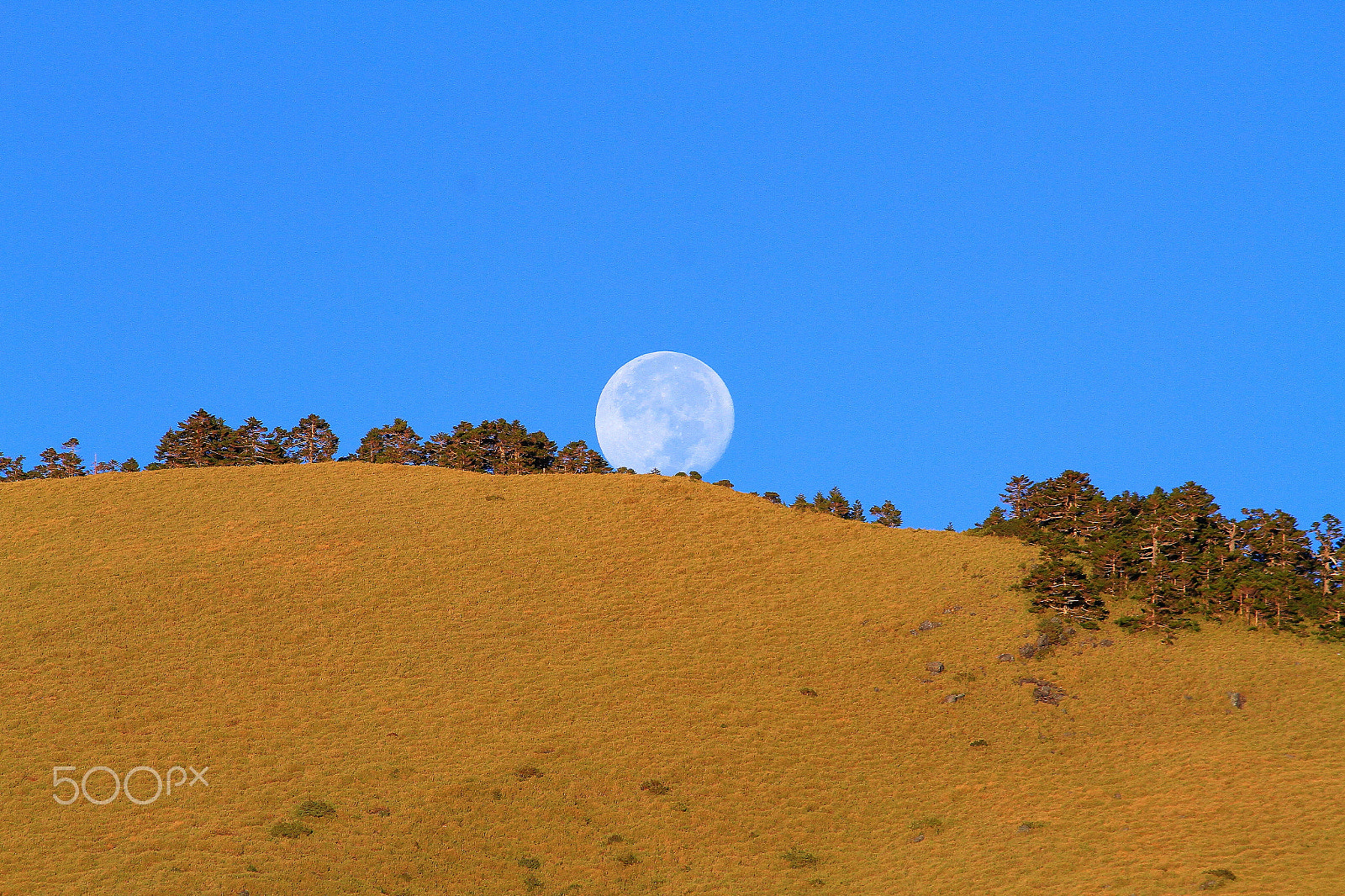 Canon EF-S 55-250mm F4-5.6 IS sample photo. Going down photography