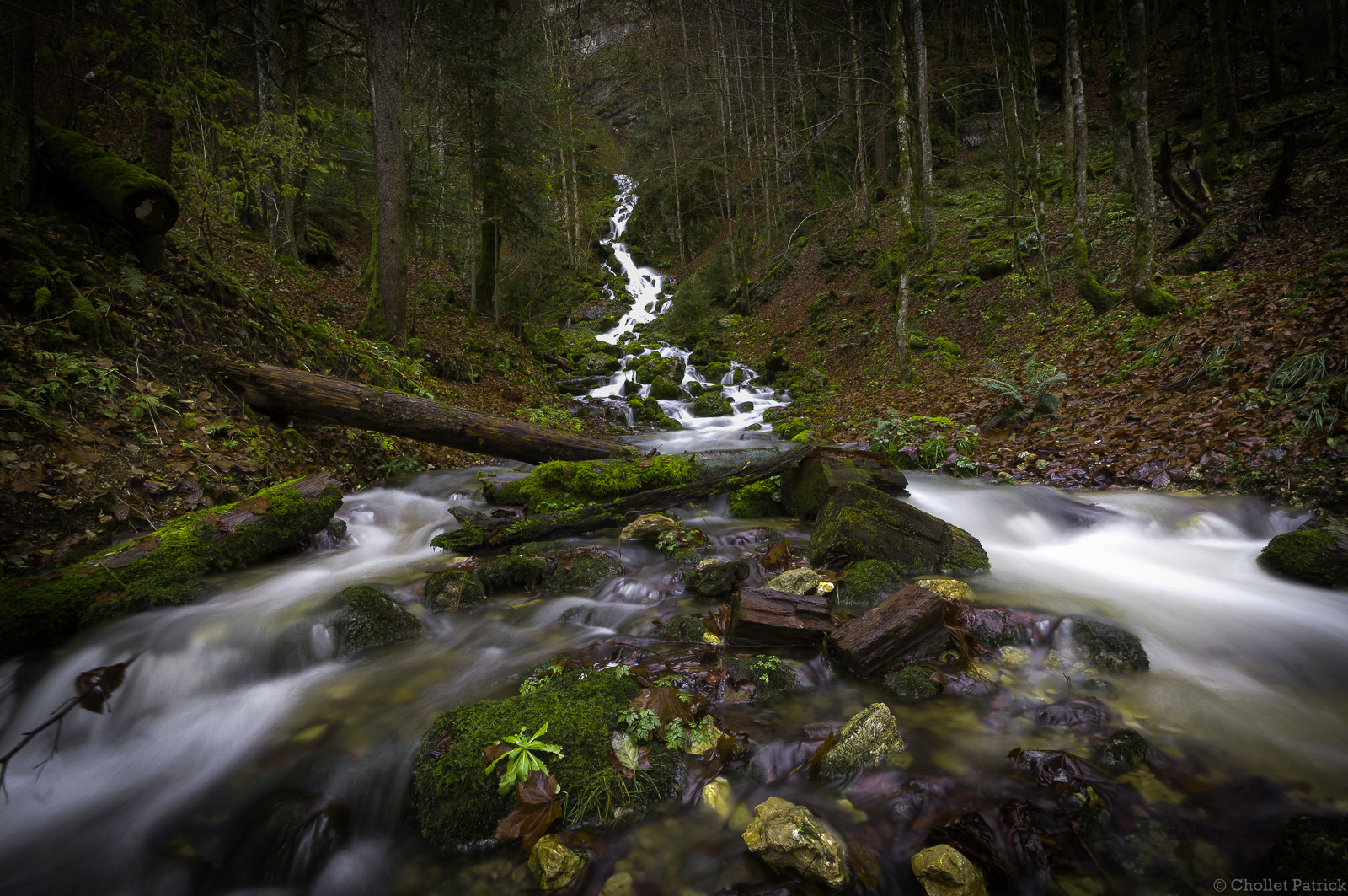 Sigma AF 10-20mm F4-5.6 EX DC sample photo. Larmes d'automne photography