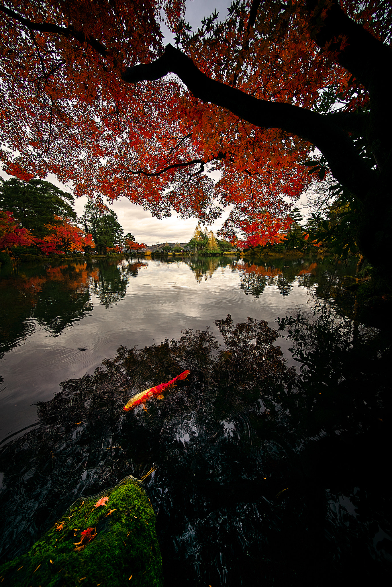 E 10mm F5.6 sample photo. Turn to red photography