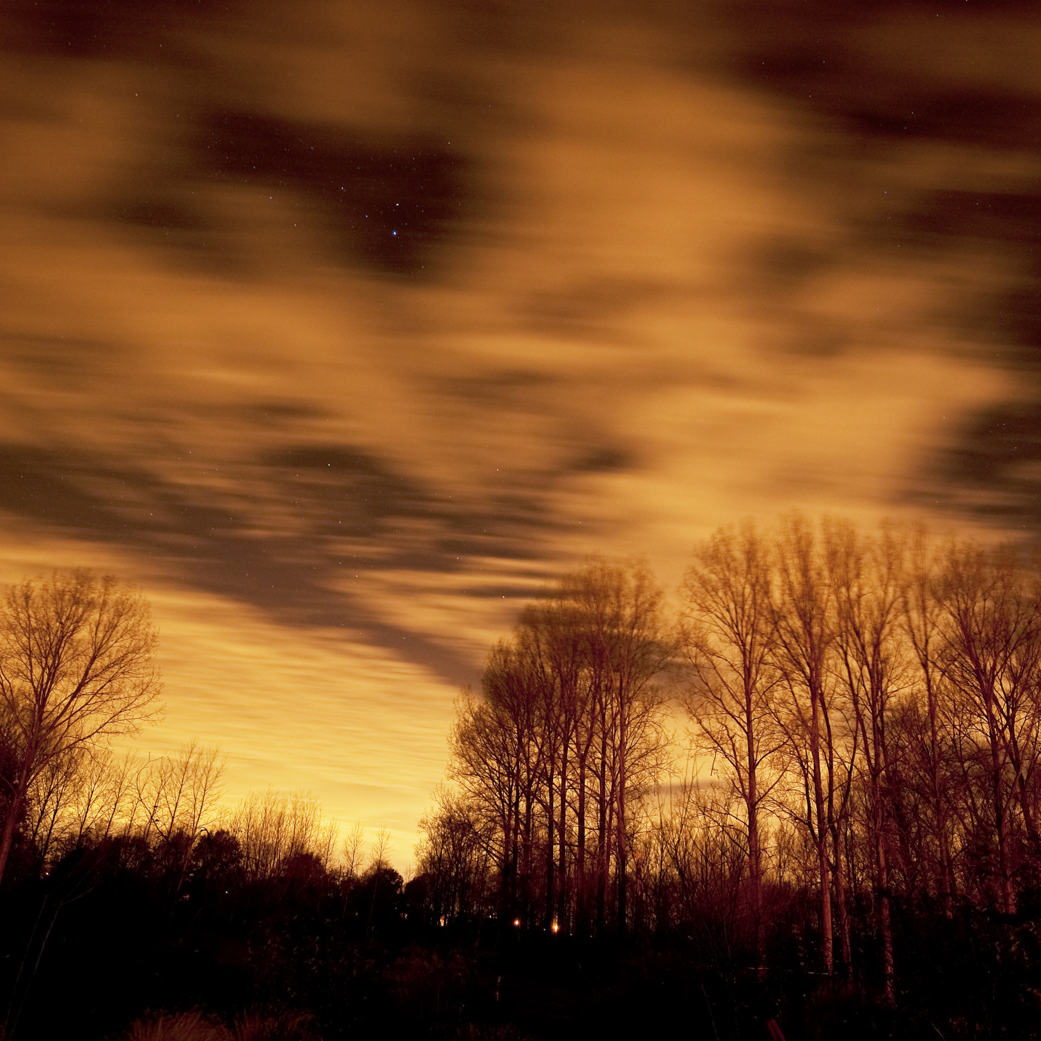 Nikon D3 sample photo. Pajottenland6 photography