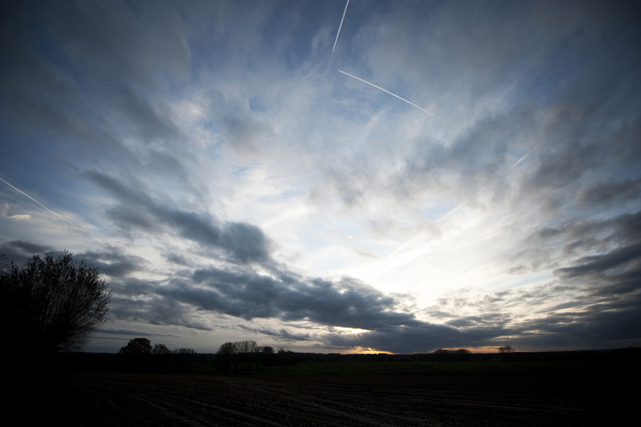 Nikon D3 sample photo. Tragicus photography