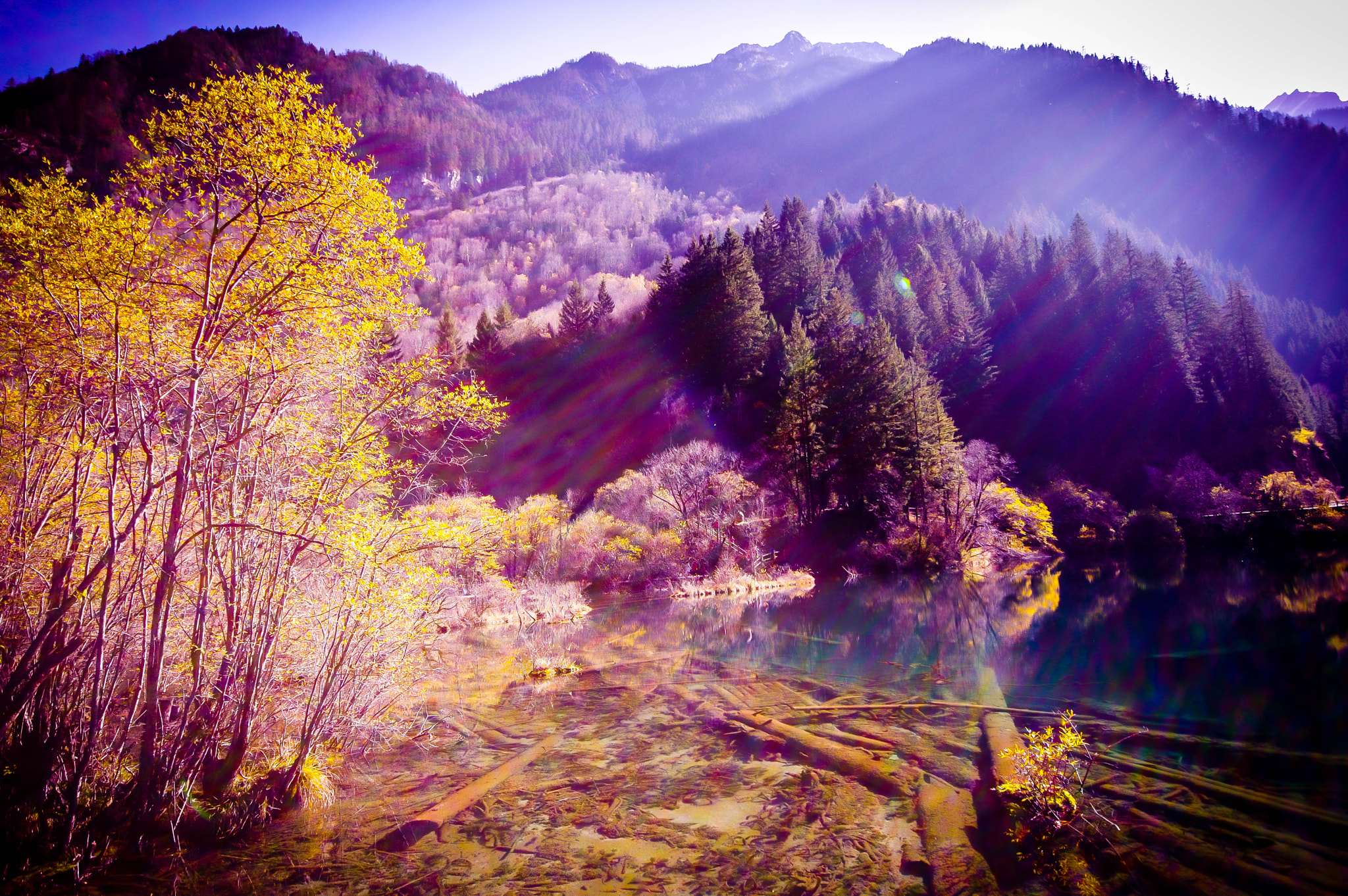 Sigma AF 10-20mm F4-5.6 EX DC sample photo. My fall photography