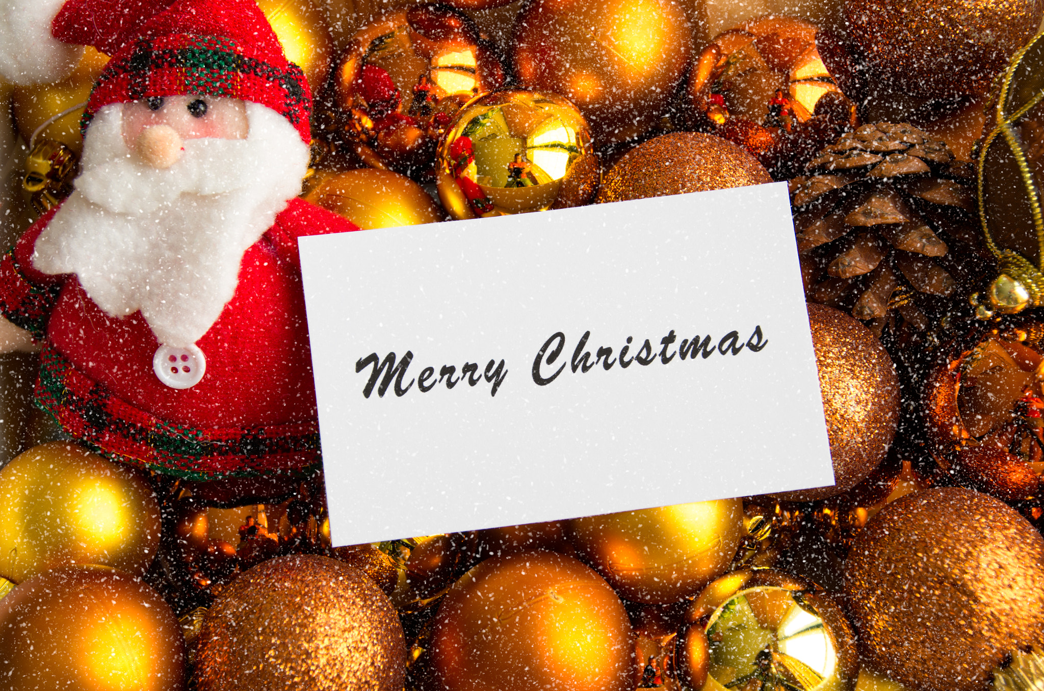 Sigma 18-200mm F3.5-6.3 II DC OS HSM sample photo. Christmas card photography