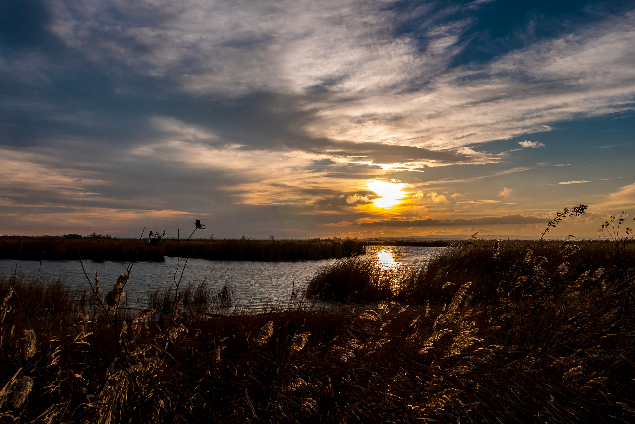 Panasonic Lumix DMC-GX85 (Lumix DMC-GX80 / Lumix DMC-GX7 Mark II) sample photo. November am darscho photography