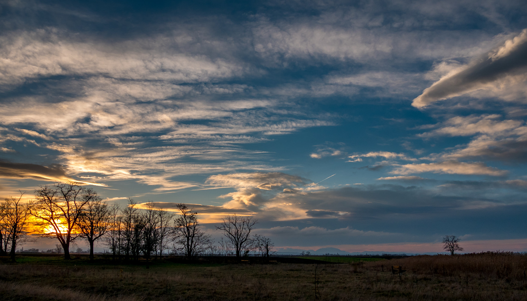 Panasonic Lumix DMC-GX85 (Lumix DMC-GX80 / Lumix DMC-GX7 Mark II) sample photo. November am darscho photography