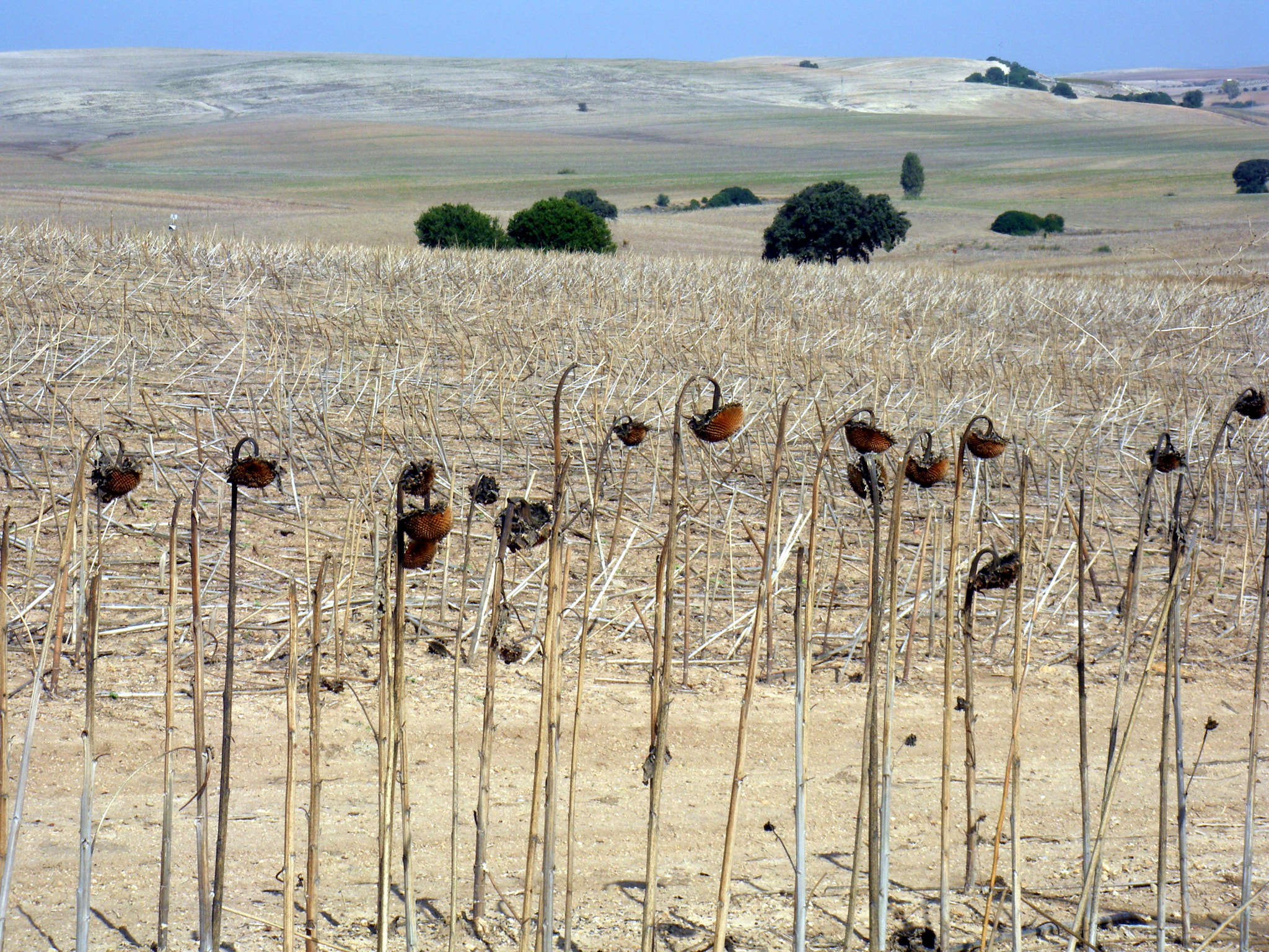 Pentax Optio M60 sample photo. Ineer landscape photography