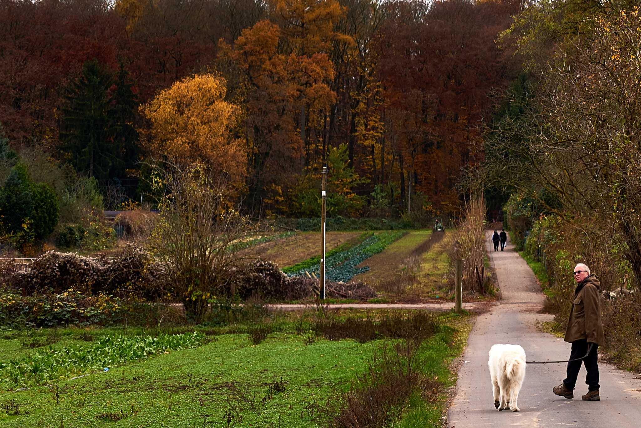 Nikon D810 sample photo. Frankfurt sachsenhausen photography