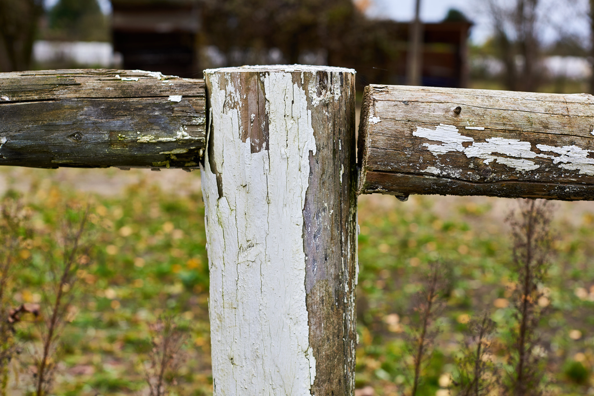 Nikon AF-S Nikkor 50mm F1.4G sample photo. Dsc photography