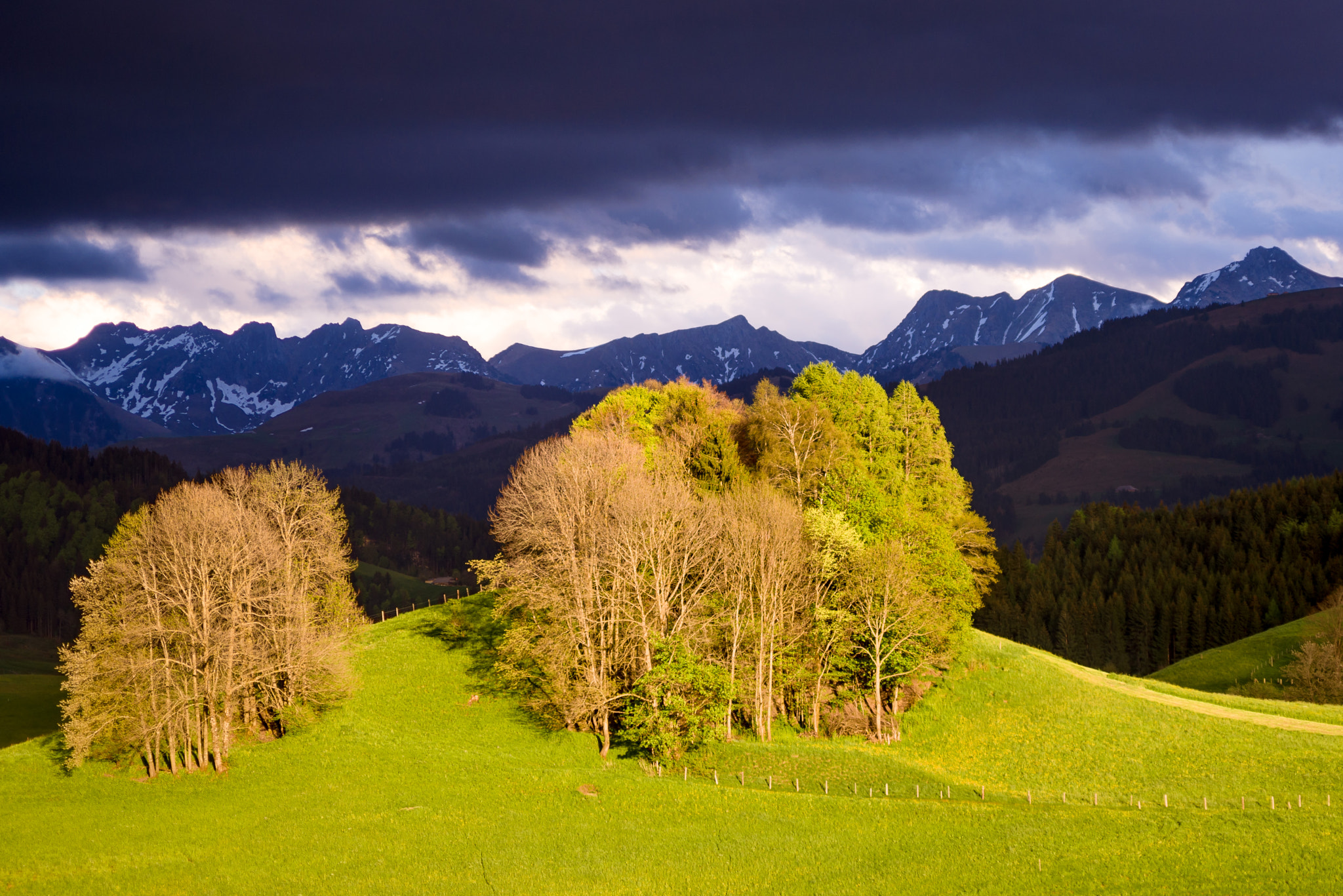 AF Zoom-Nikkor 28-70mm f/3.5-4.5D sample photo. Last sun before the storm photography