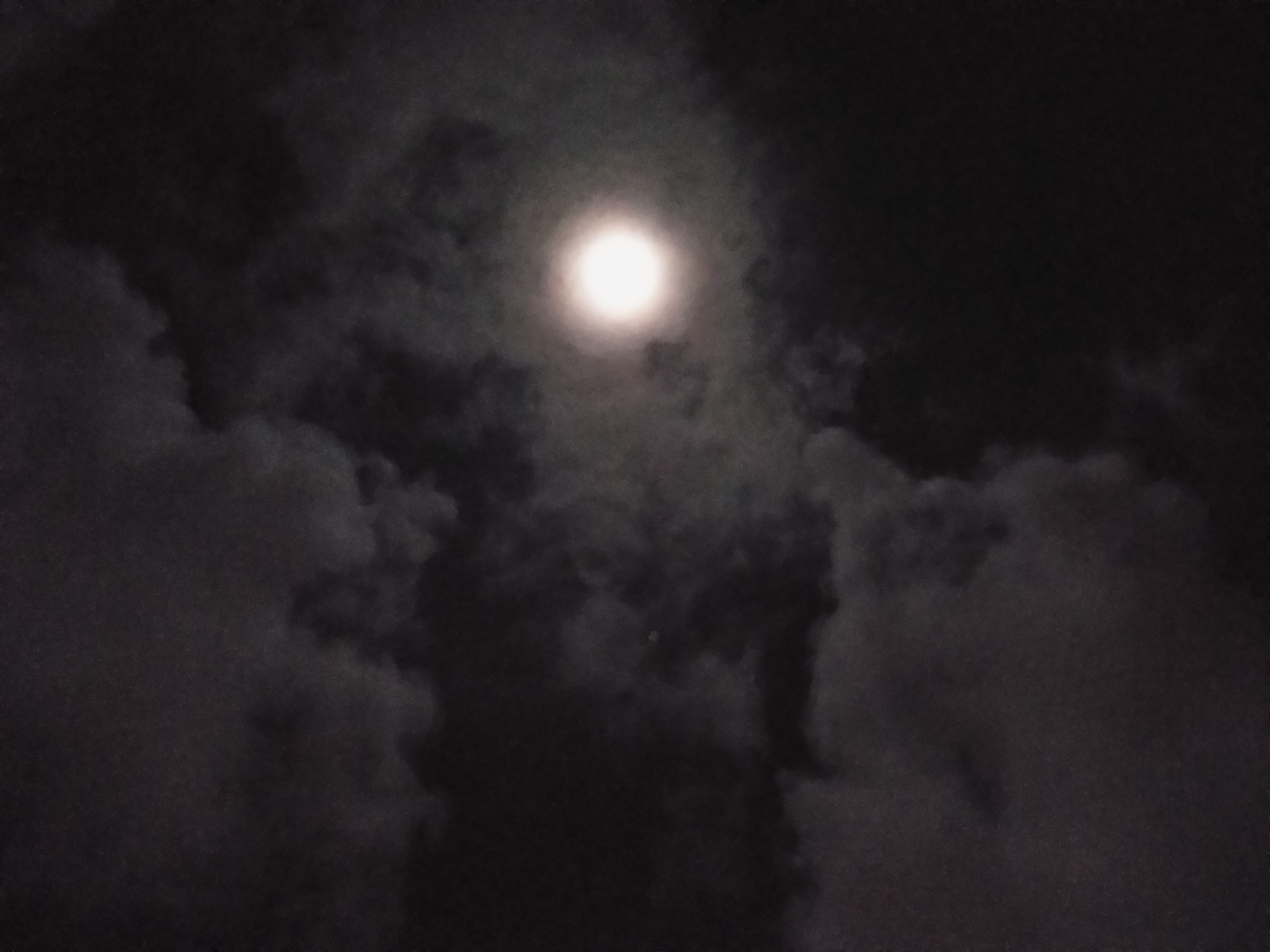 vivo V3MAX sample photo. Super moon photography