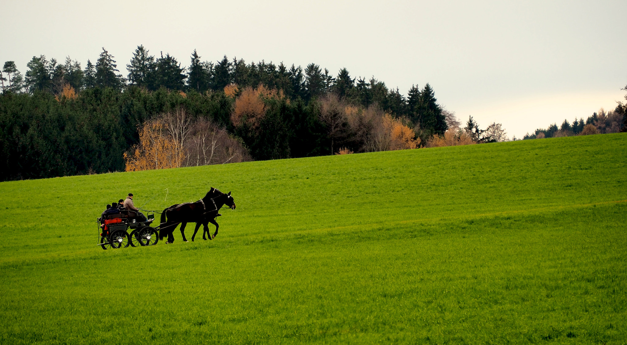 Olympus OM-D E-M5 II sample photo. Reichertshofen alm photography