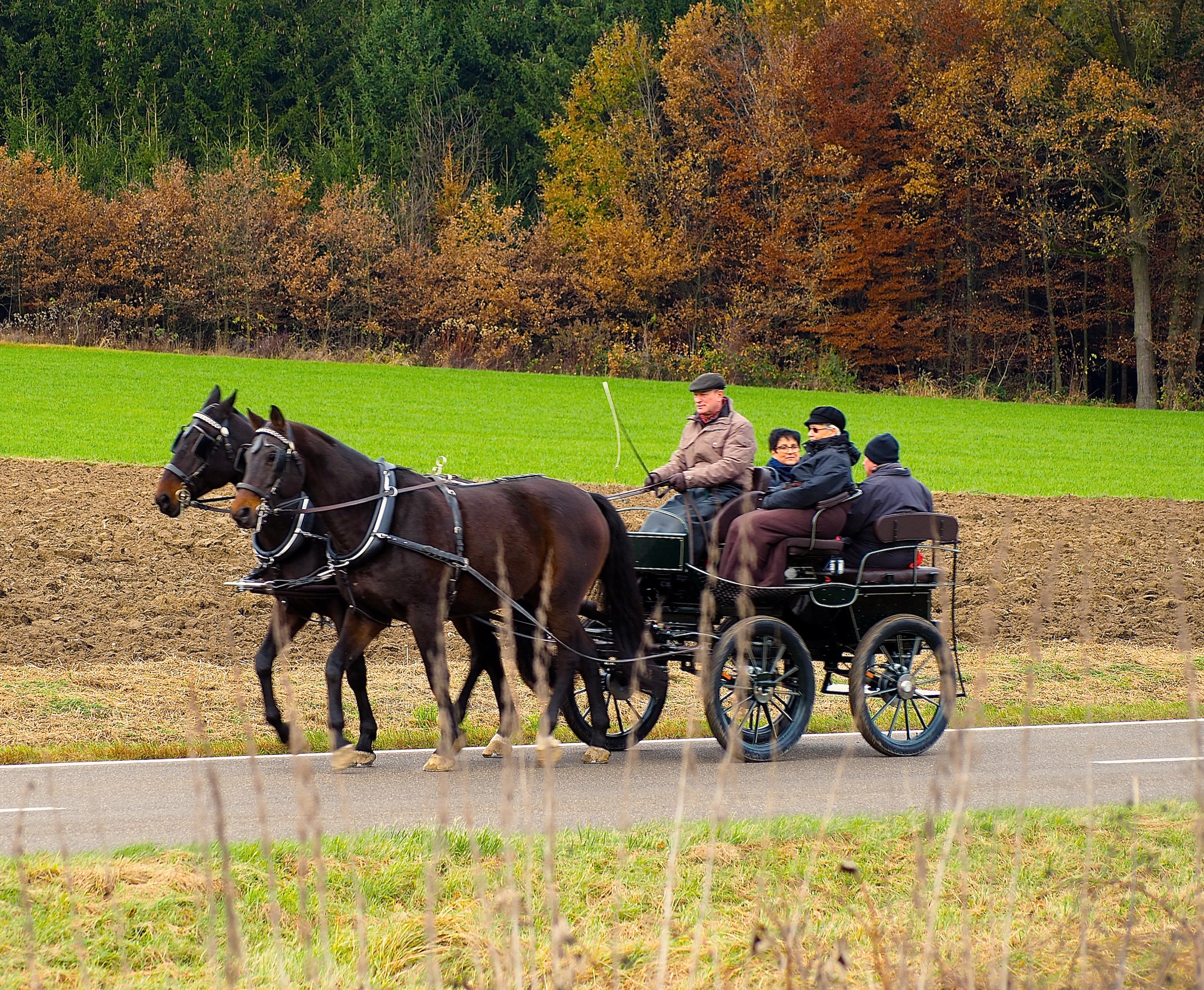 Olympus OM-D E-M5 II sample photo. Old timer transportation photography