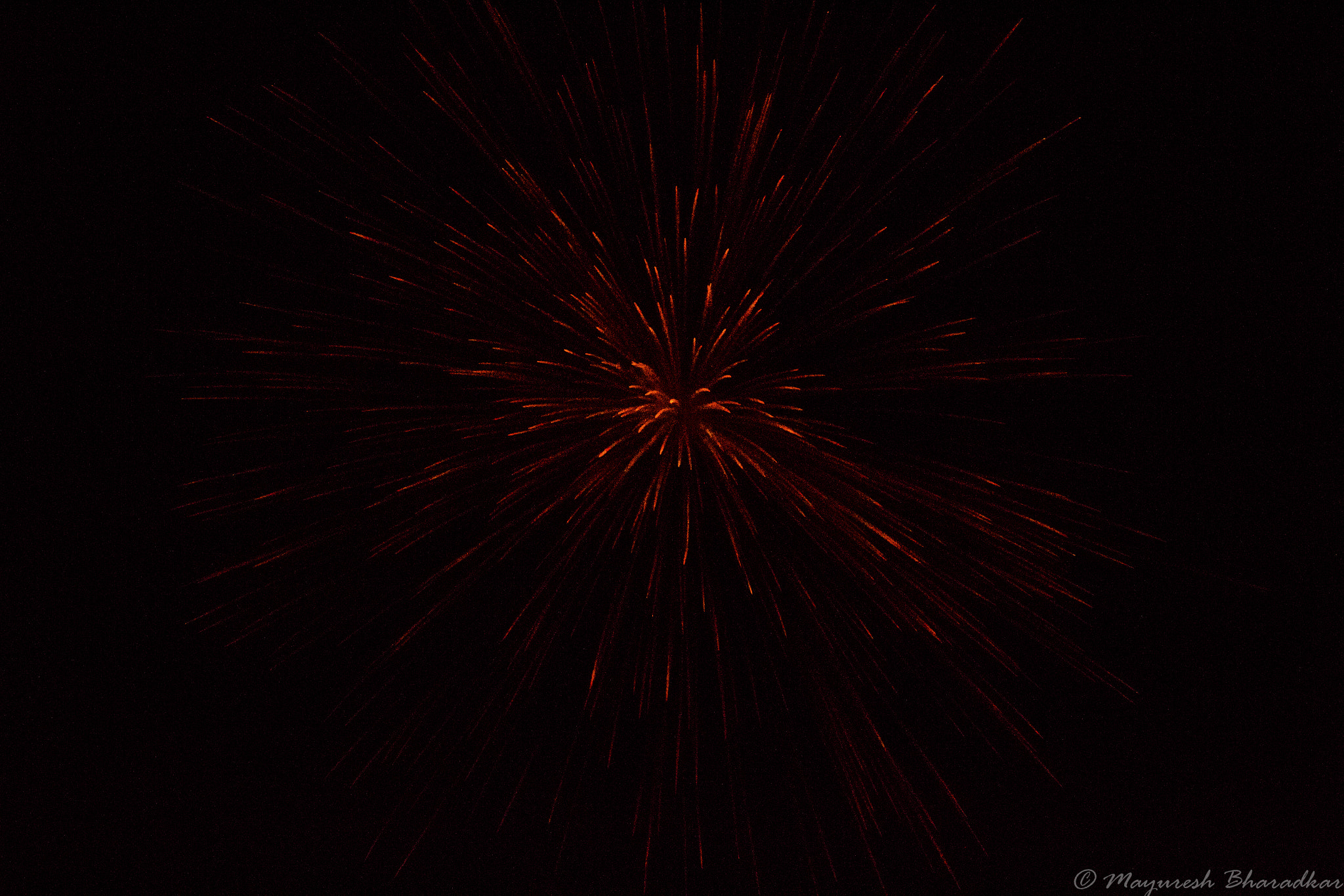 150-600mm F5-6.3 DG OS HSM | Contemporary 015 sample photo. Diwali 2k16 ! photography