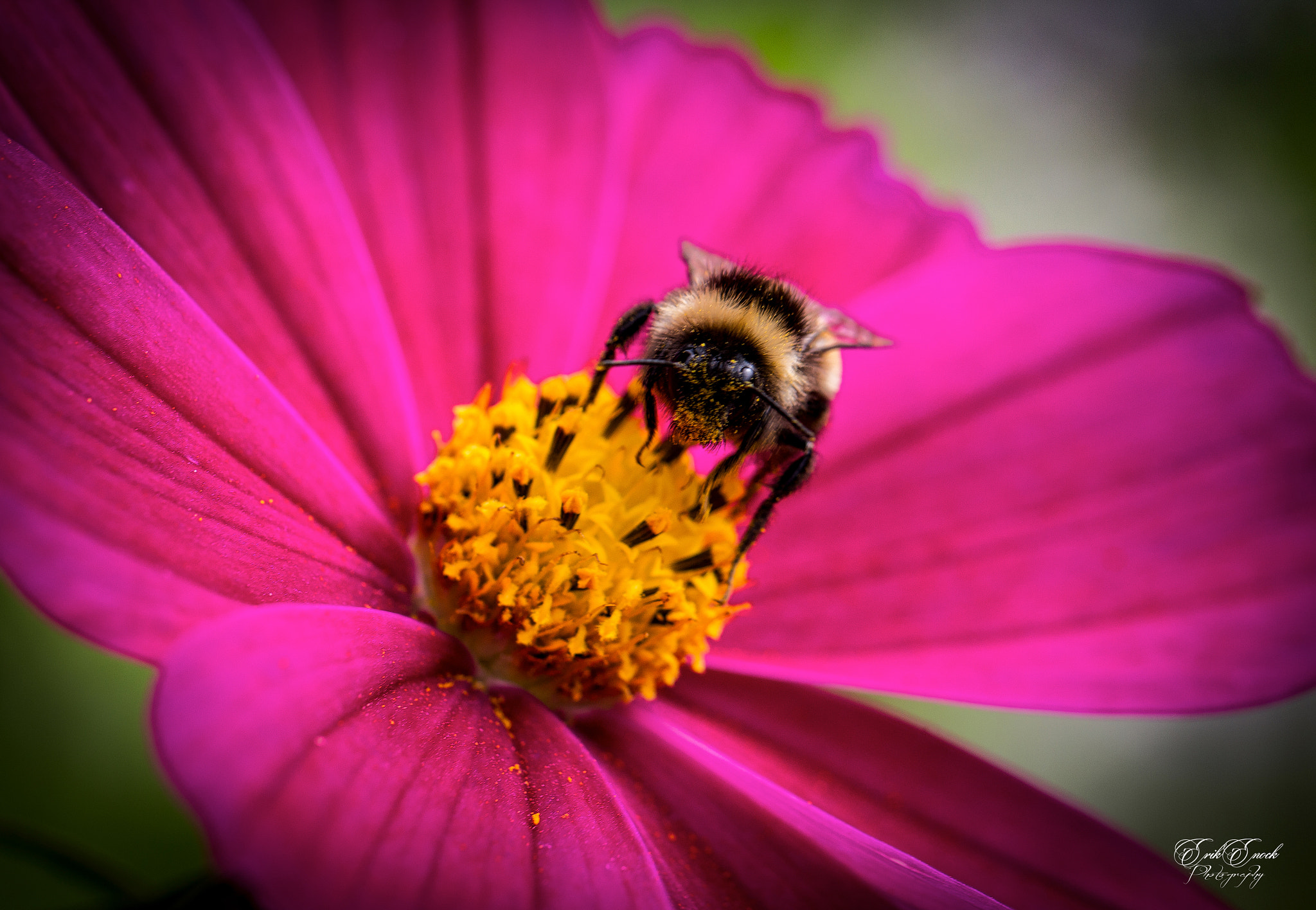 Canon EF 100mm F2.8L Macro IS USM sample photo. Harvesting photography