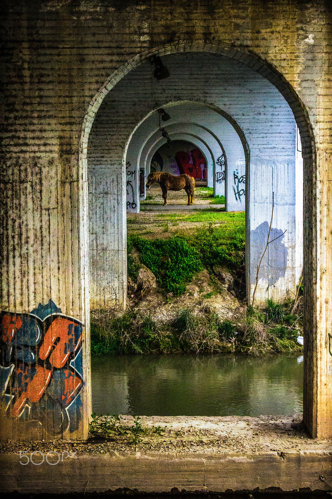 Nikon 1 J3 sample photo. Horse under the bridge photography