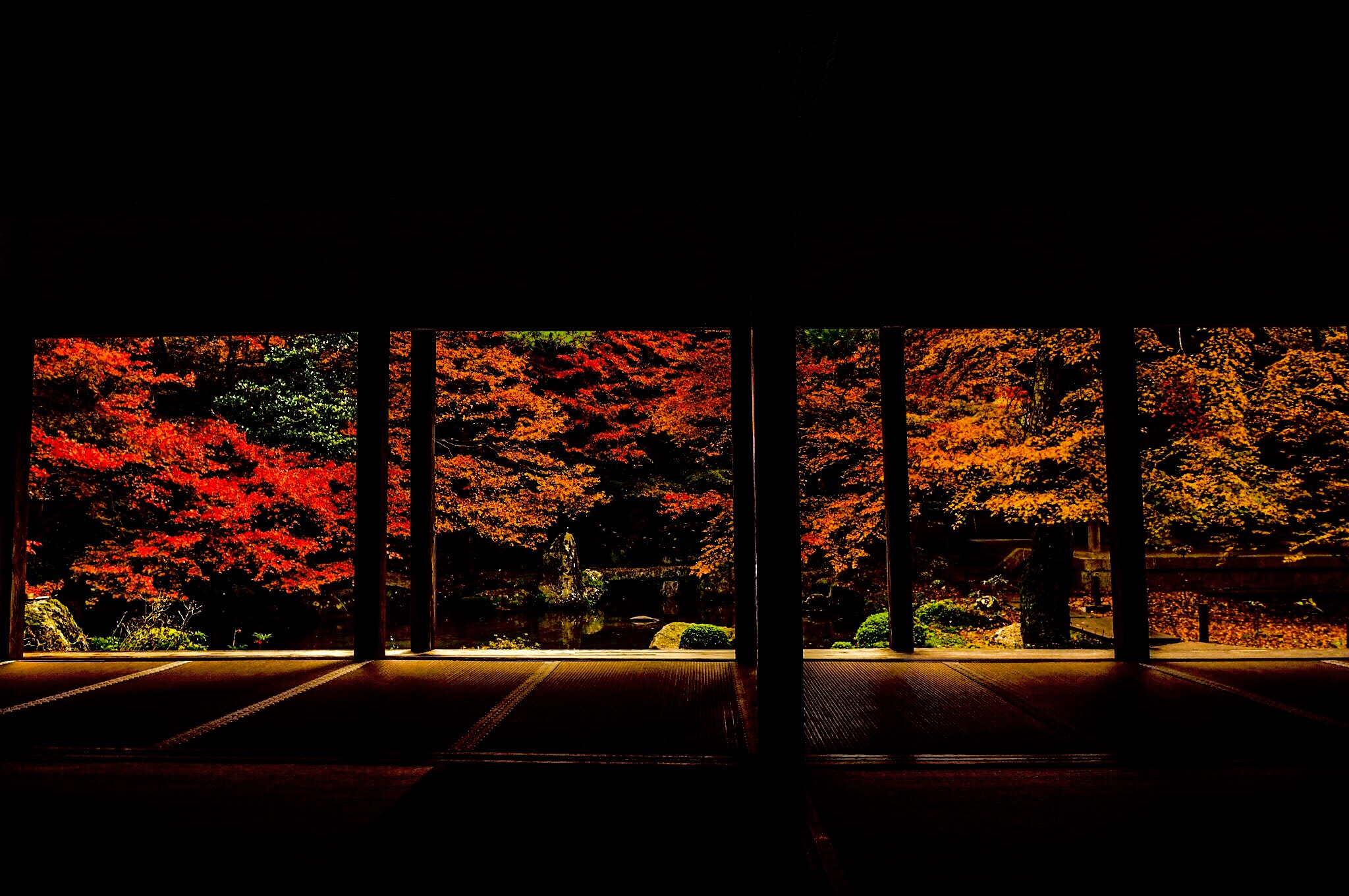 OLYMPUS M.12mm F2.0 sample photo. 蓮華寺 photography