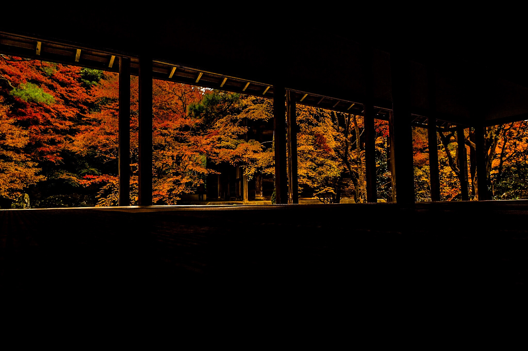 Olympus OM-D E-M10 + OLYMPUS M.12mm F2.0 sample photo. 蓮華寺 photography