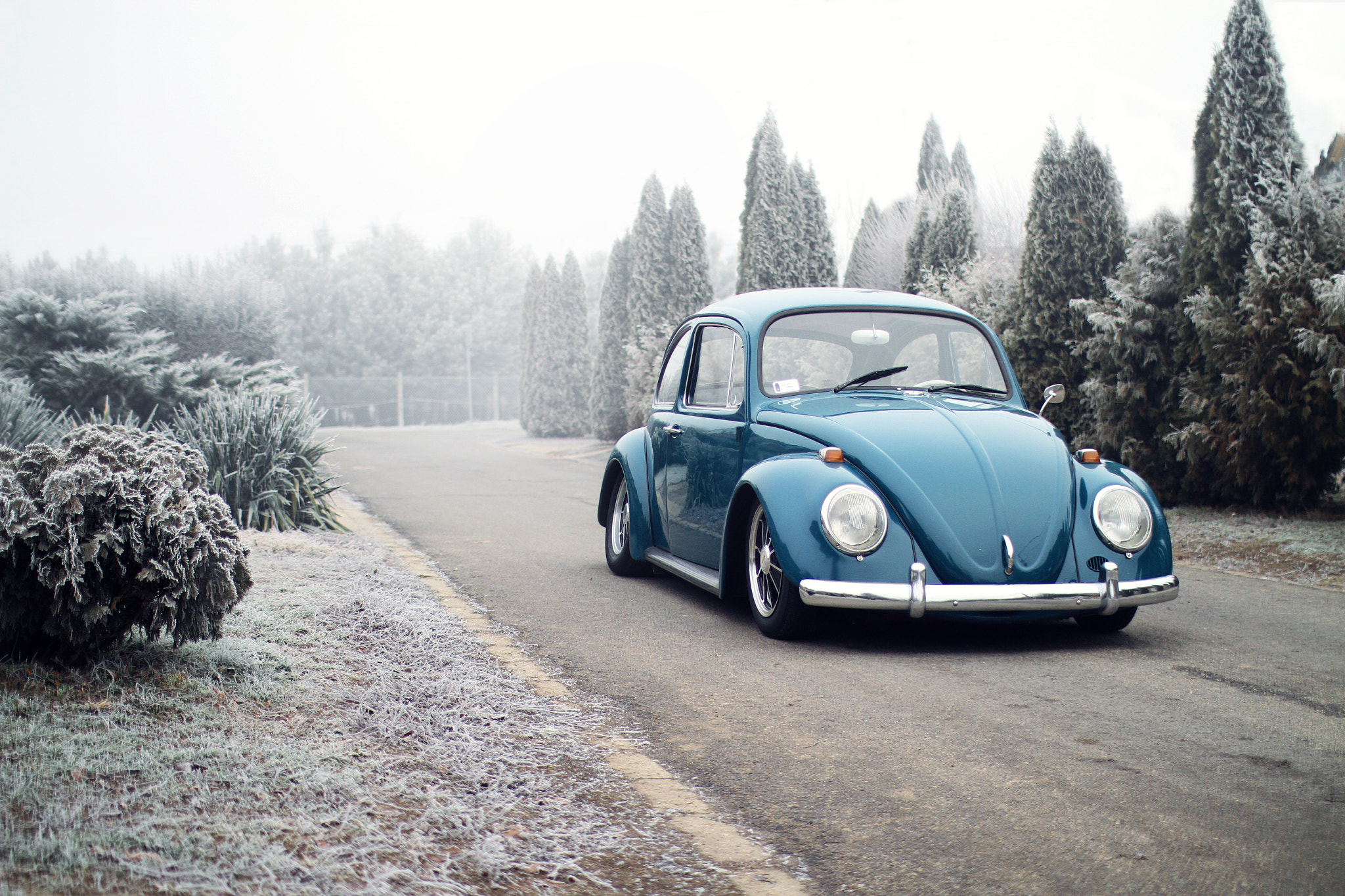 Canon EOS 7D + Sigma 30mm f/1.4 DC HSM sample photo. Chill photography