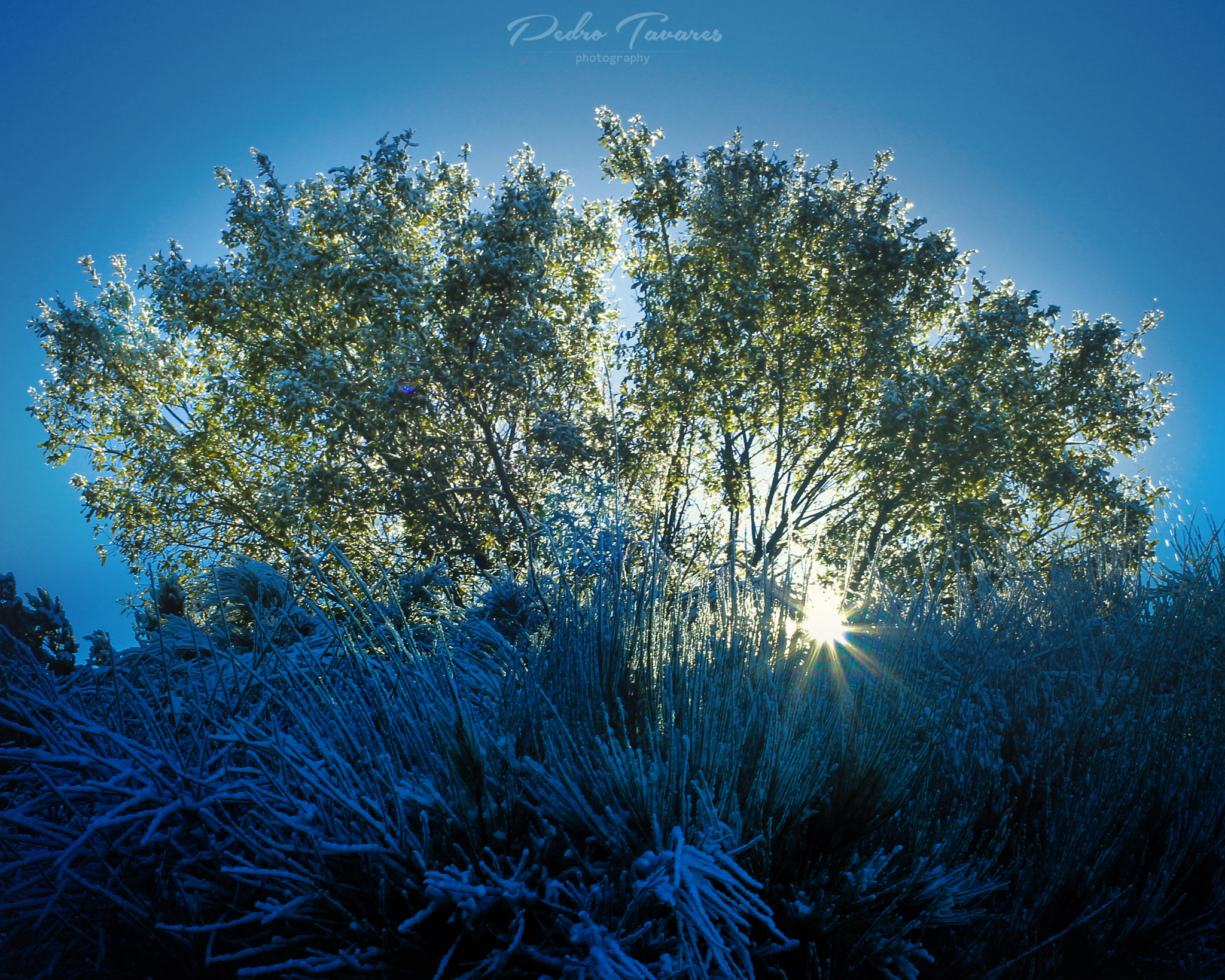 Canon EF 35-80mm f/4-5.6 sample photo. Sunrise ~ serra da estrela, portugal photography
