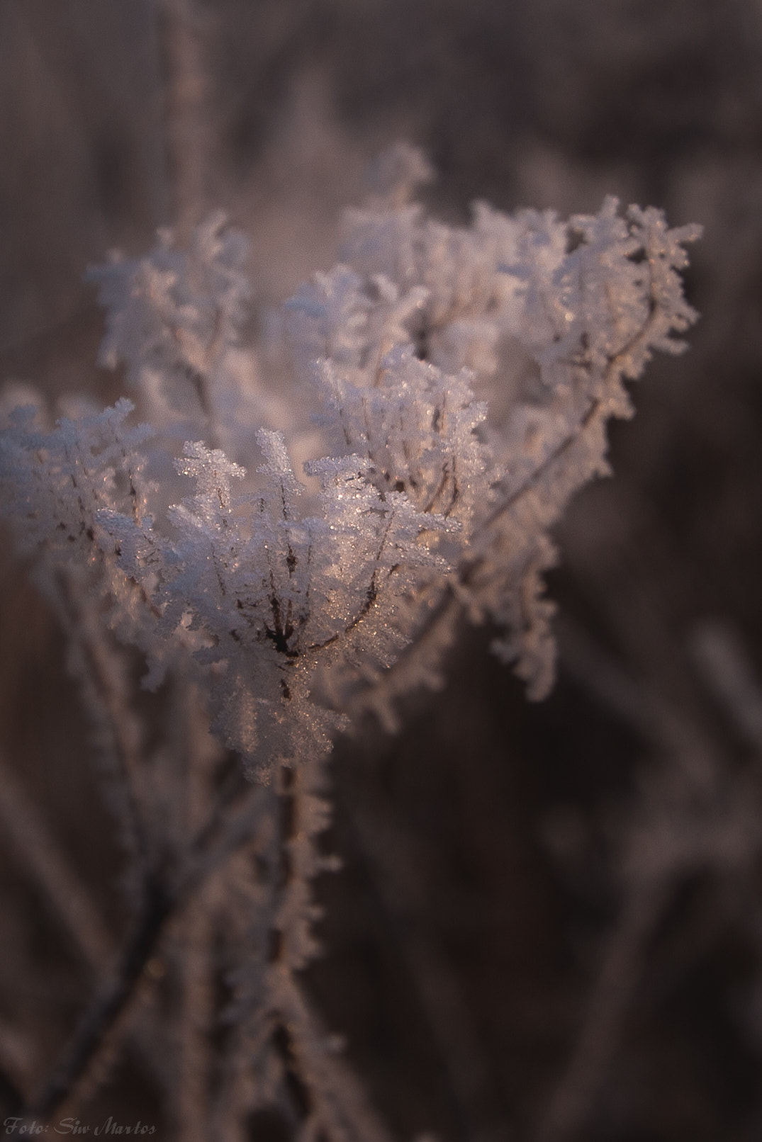 Canon EF-S 10-22mm F3.5-4.5 USM sample photo. Frozen at sunset photography