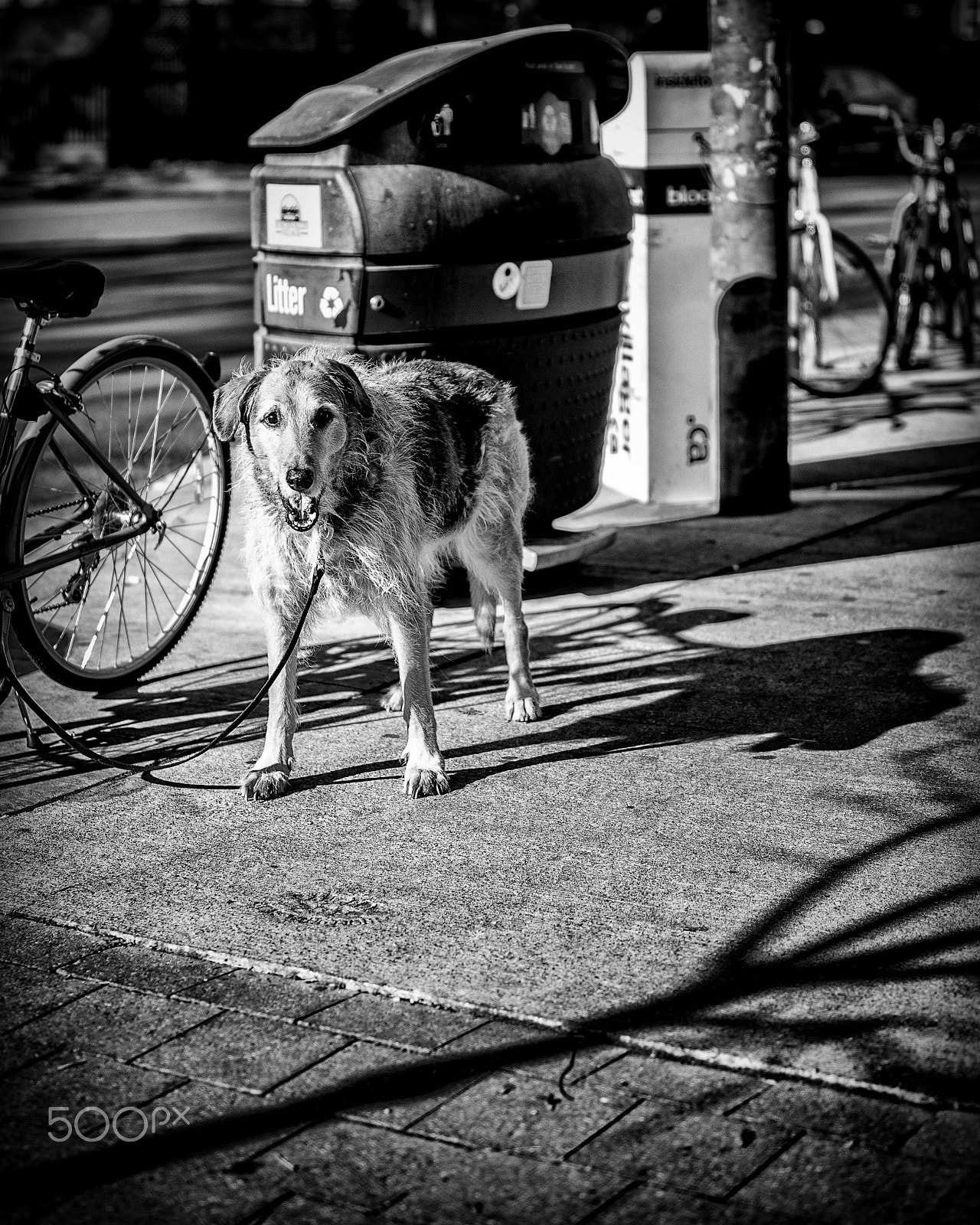 Tamron SP 45mm F1.8 Di VC USD sample photo. Payingattention photography