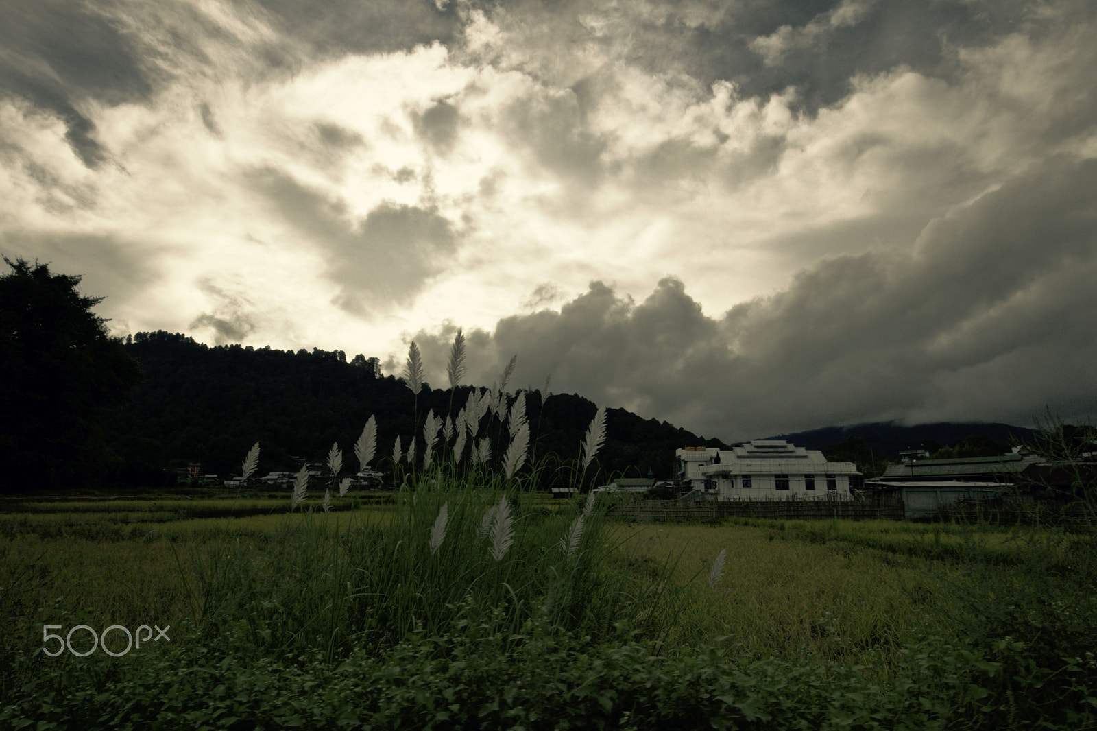 Canon EF 16-35mm F4L IS USM sample photo. An evening in ziro photography