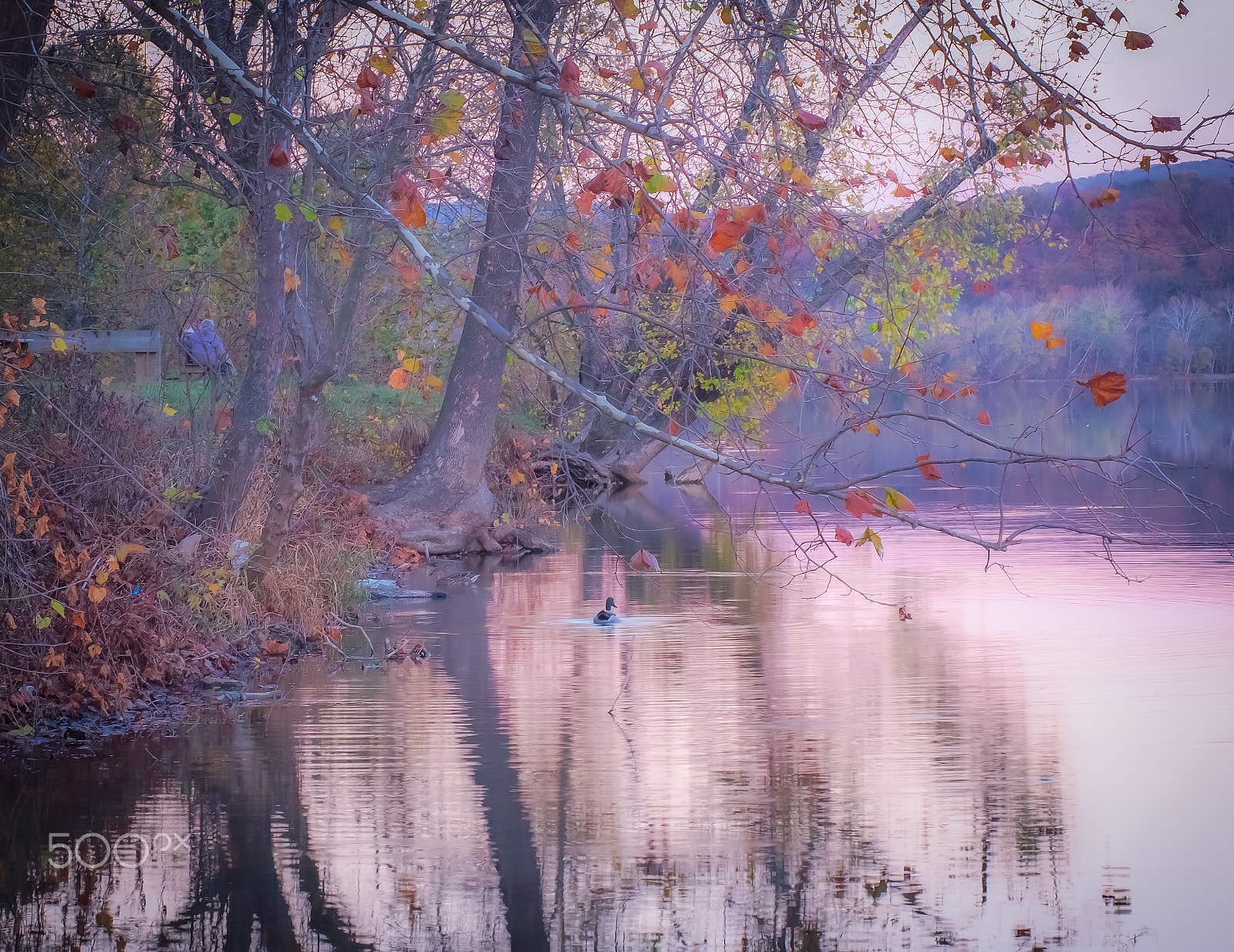 Olympus PEN E-PL5 sample photo. Waiting for the super moon photography