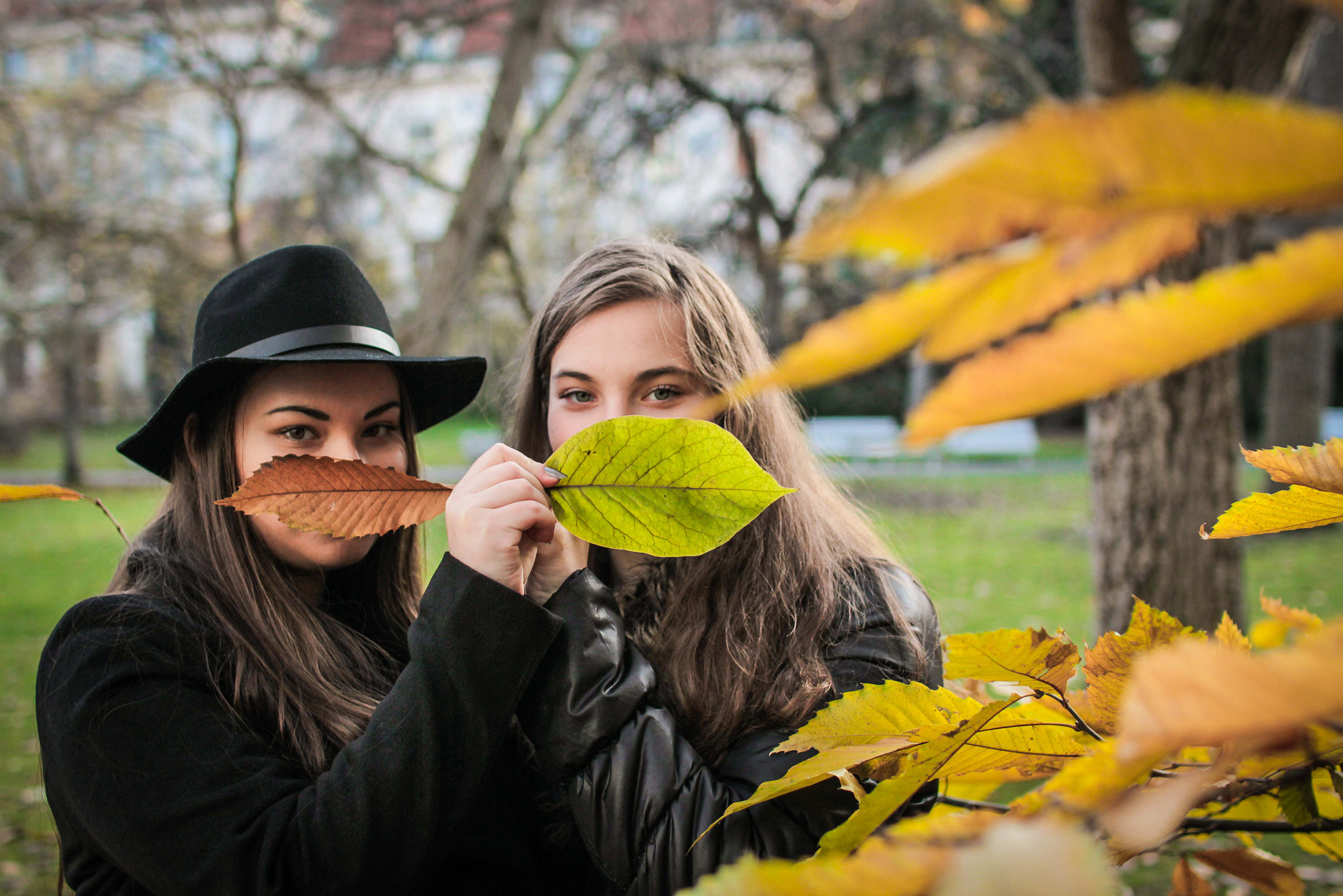 Sigma 30mm F1.4 EX DC HSM sample photo. Autumn // sisters photography
