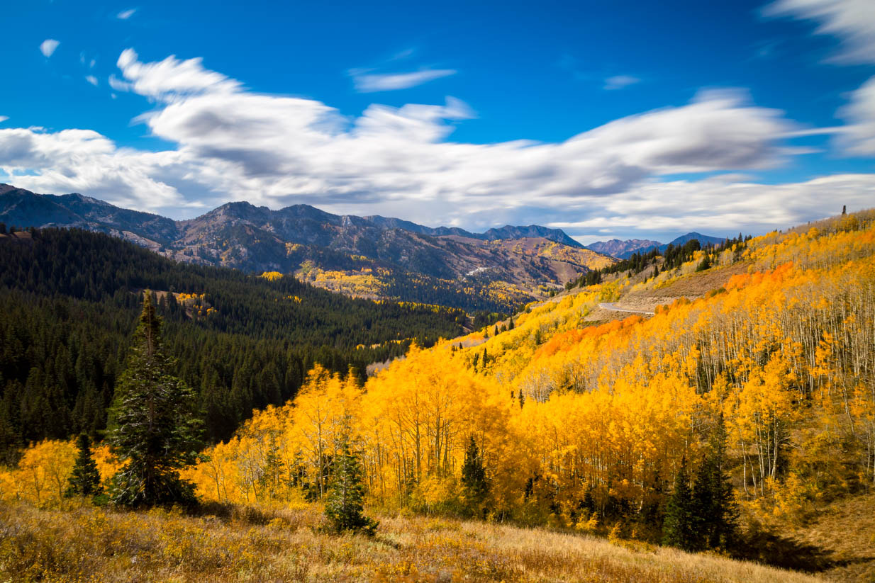 Sigma 24-105mm f/4 DG OS HSM | A sample photo. Looking down big cottonwood canyon photography