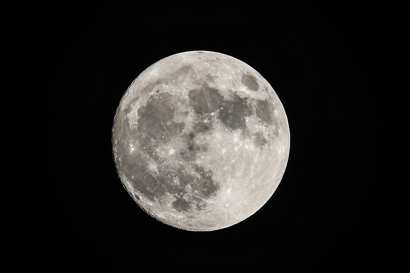 EF300mm f/4L USM +1.4x sample photo