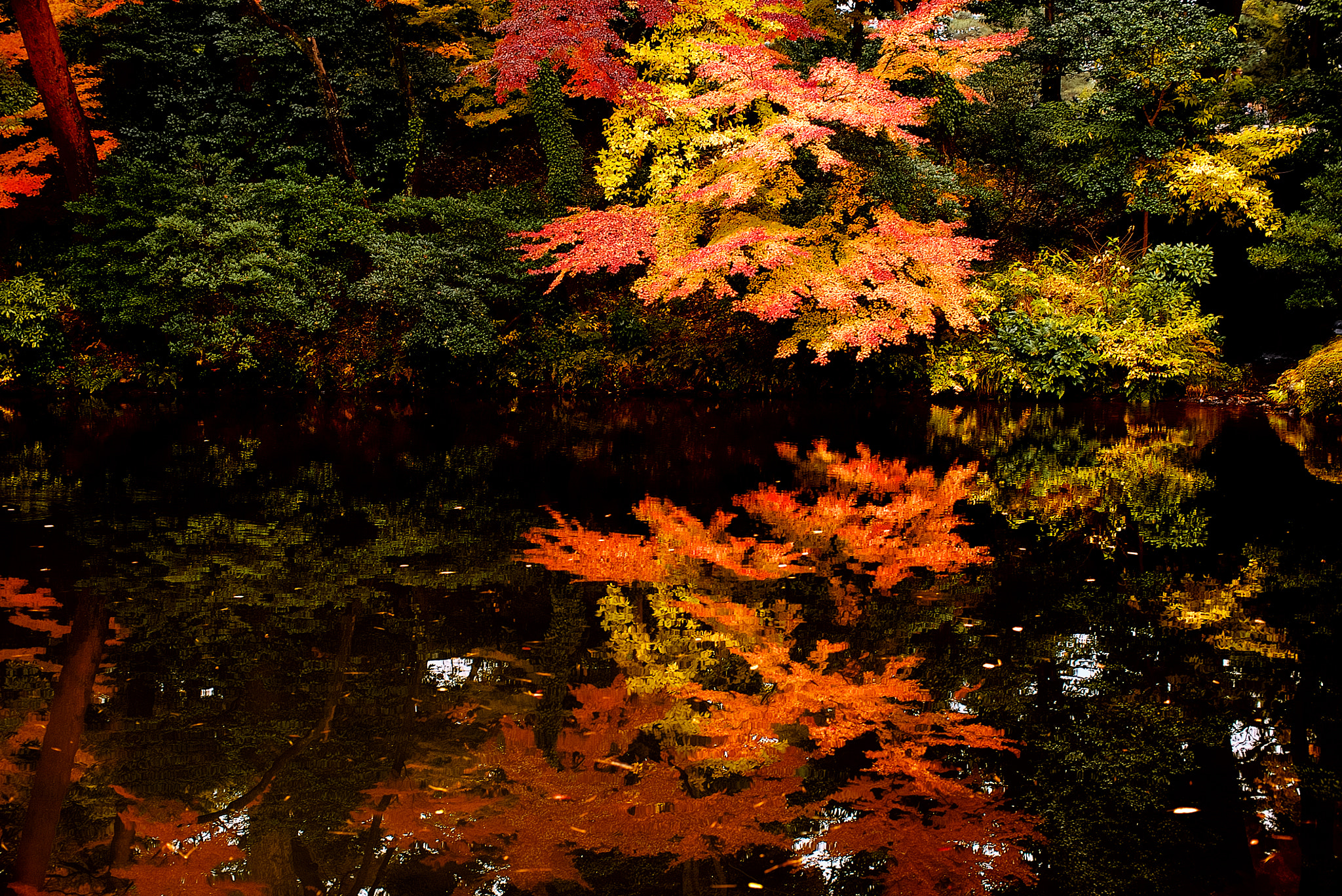 Sony a7S sample photo. Hisago reflection photography
