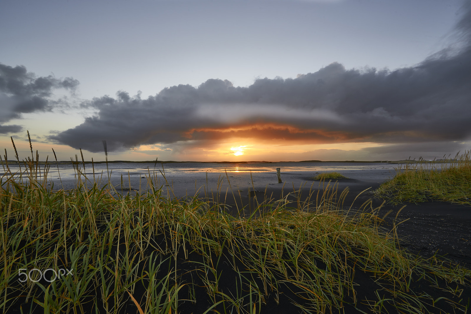 Nikon D800 sample photo. Sunset and grass photography