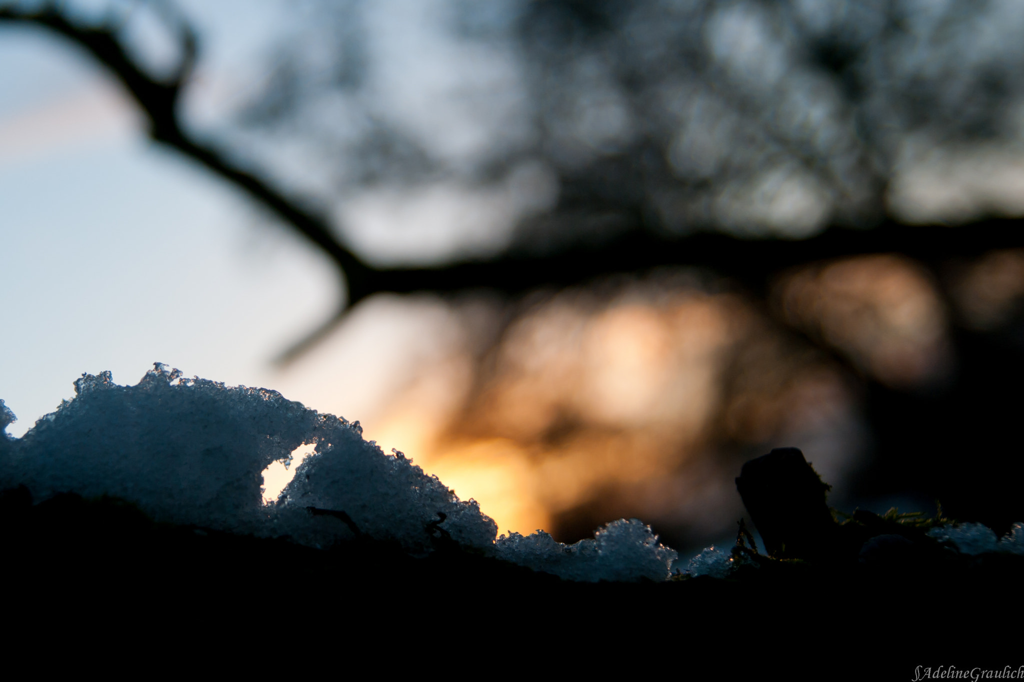 Pentax K20D sample photo. Wink photography
