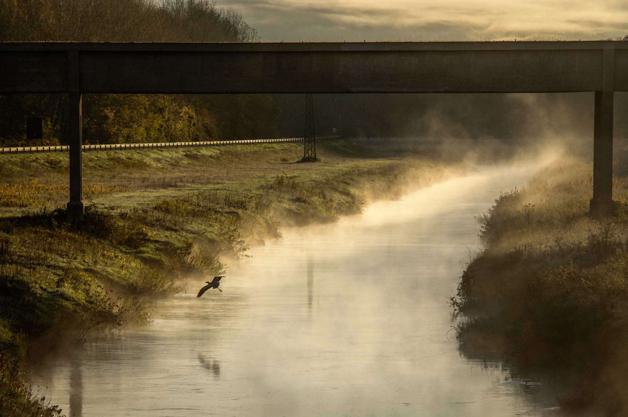 Sigma 70-200mm F2.8 EX DG Macro HSM II sample photo. Morning idyll photography