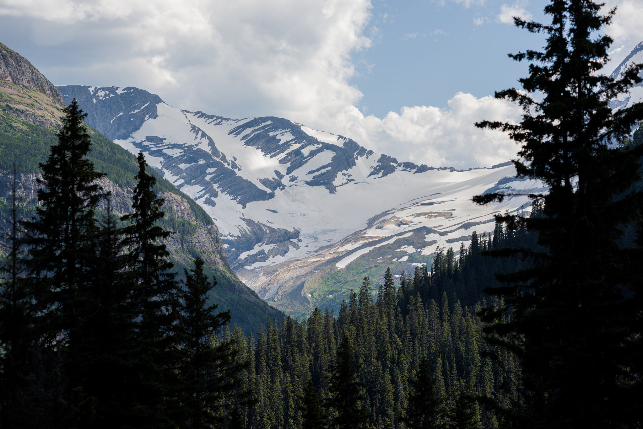 ZEISS Apo Sonnar T* 135mm F2 sample photo. Jackson glacier, glacier national park photography