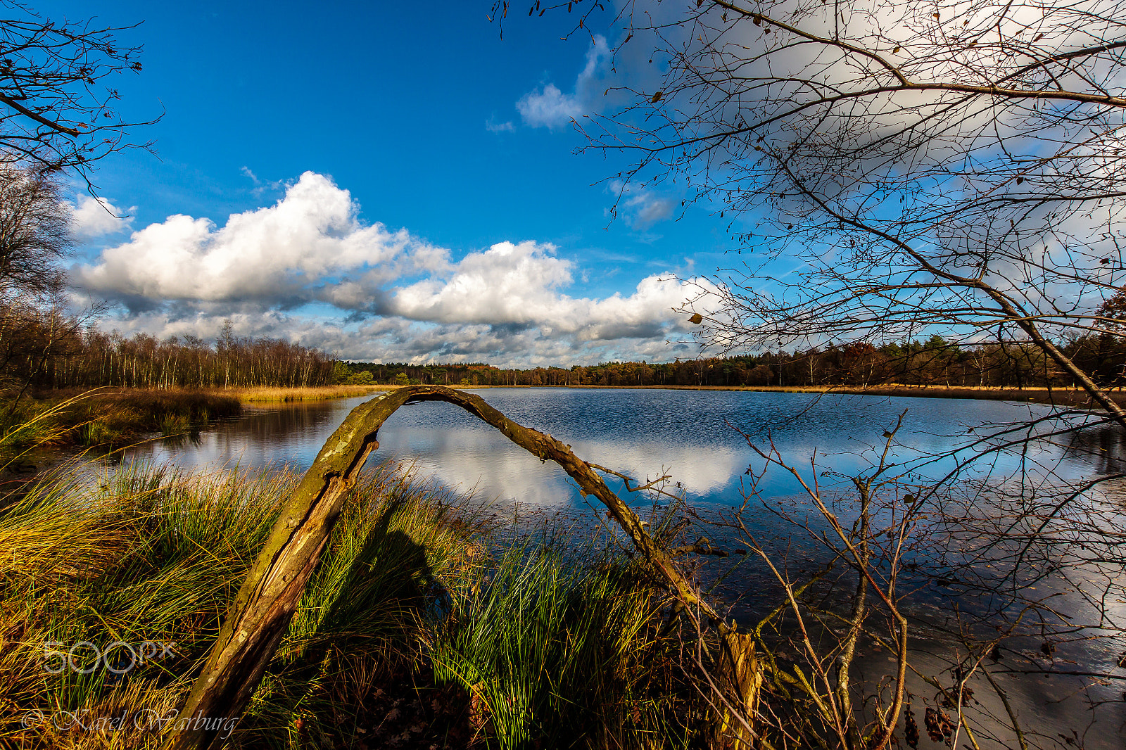 Sigma 10-20mm F3.5 EX DC HSM sample photo. Sunny afternoon photography