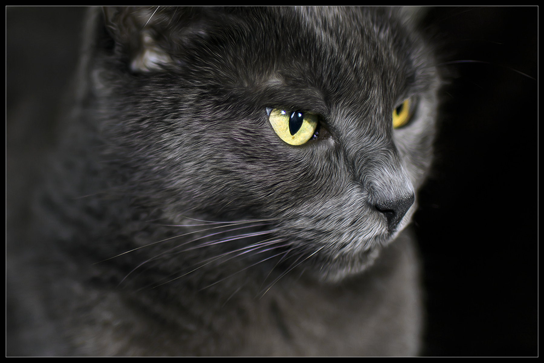 Canon EOS 60D + Canon EF 35mm F1.4L USM sample photo. Portrait of smoky photography