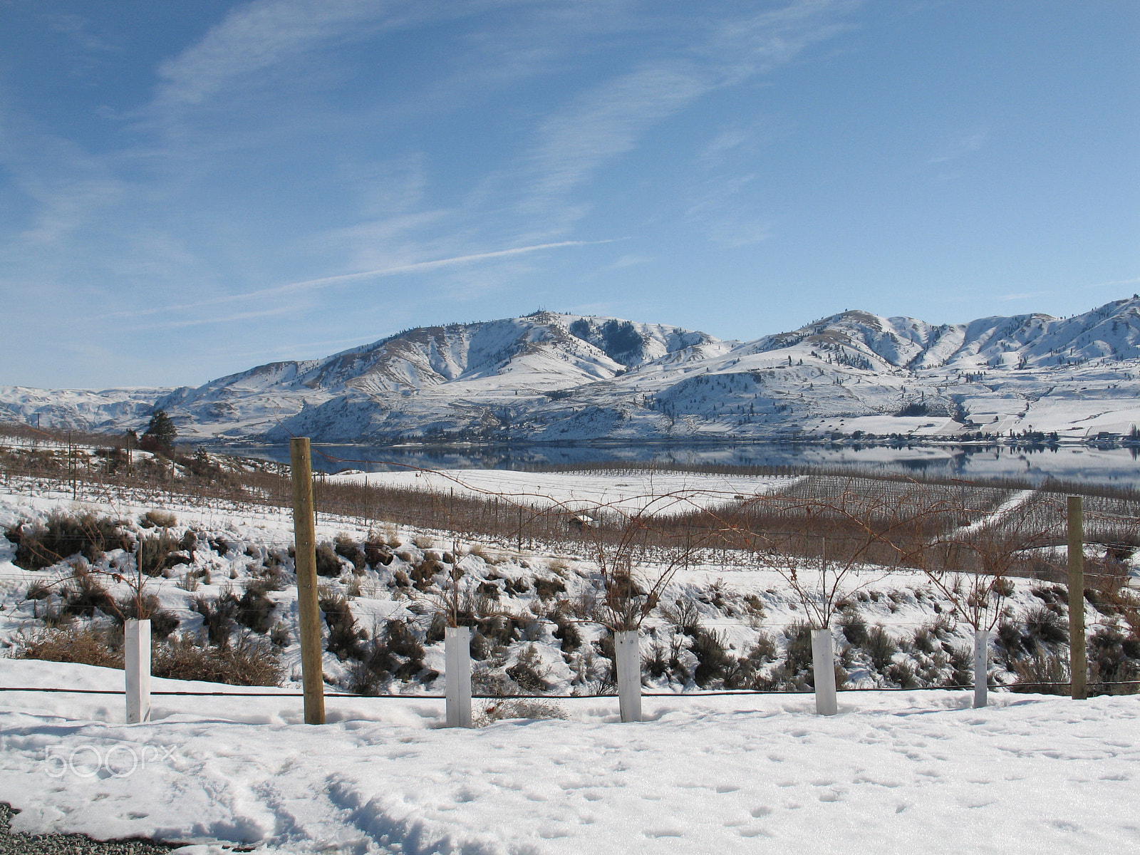 Canon POWERSHOT G6 sample photo. Wine yards, lake chelan, washington photography