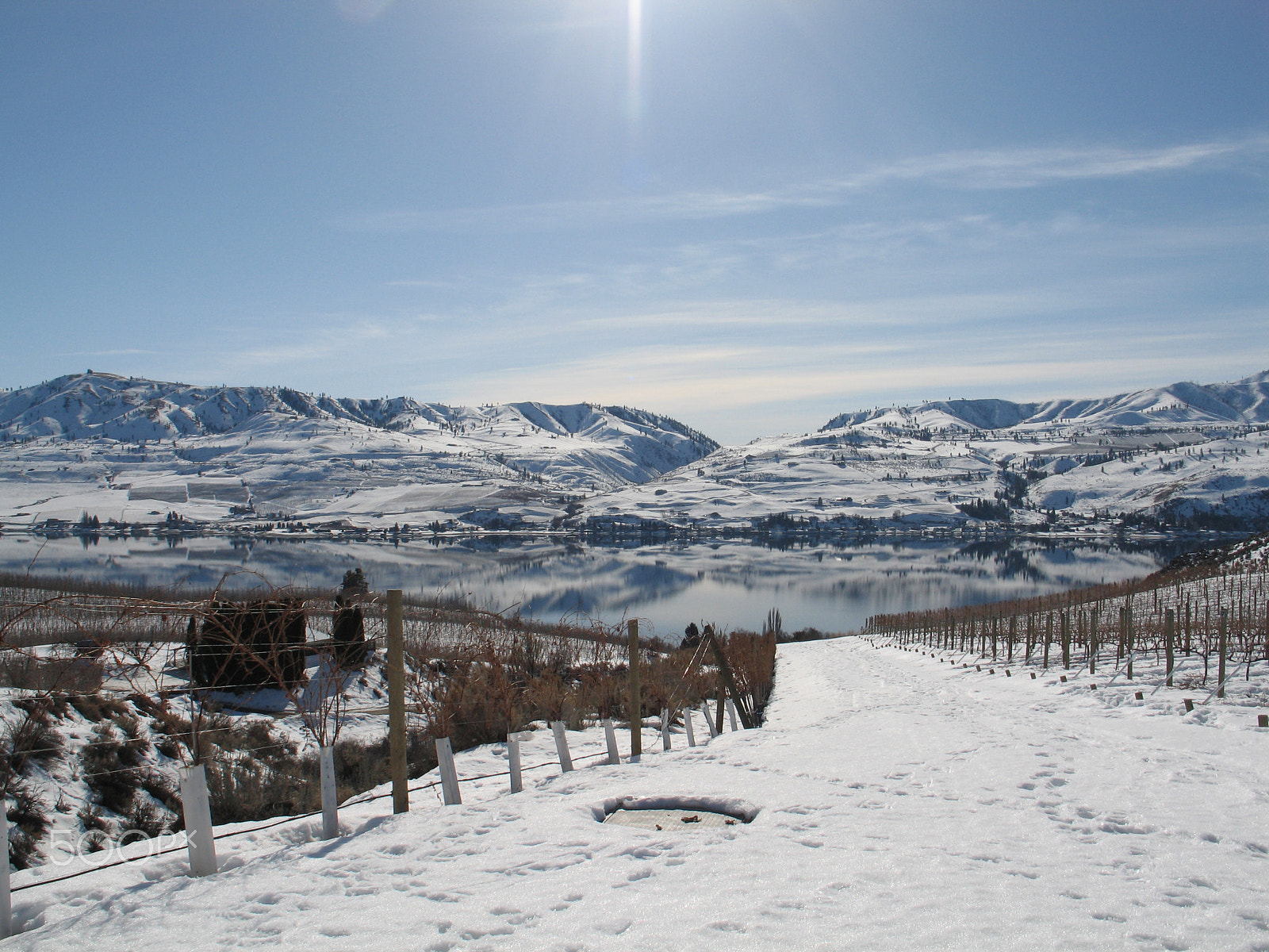 Canon POWERSHOT G6 sample photo. Wine yards, lake chelan, washington photography