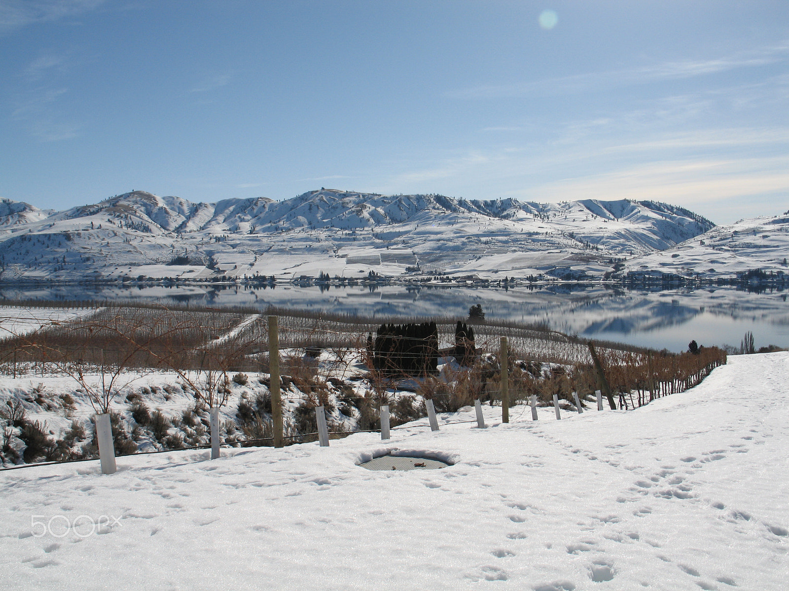 Canon POWERSHOT G6 sample photo. Wine yards, lake chelan, washington photography