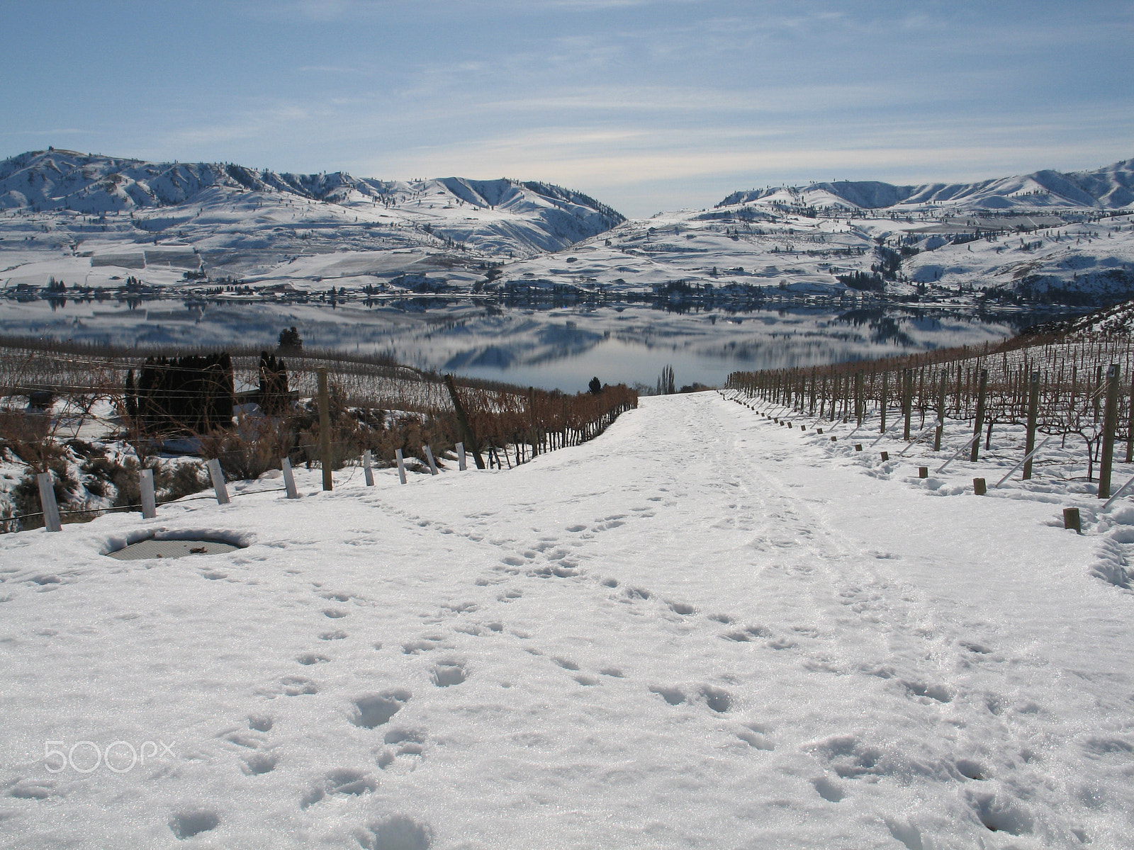 Canon POWERSHOT G6 sample photo. Wine yards, lake chelan, washington photography