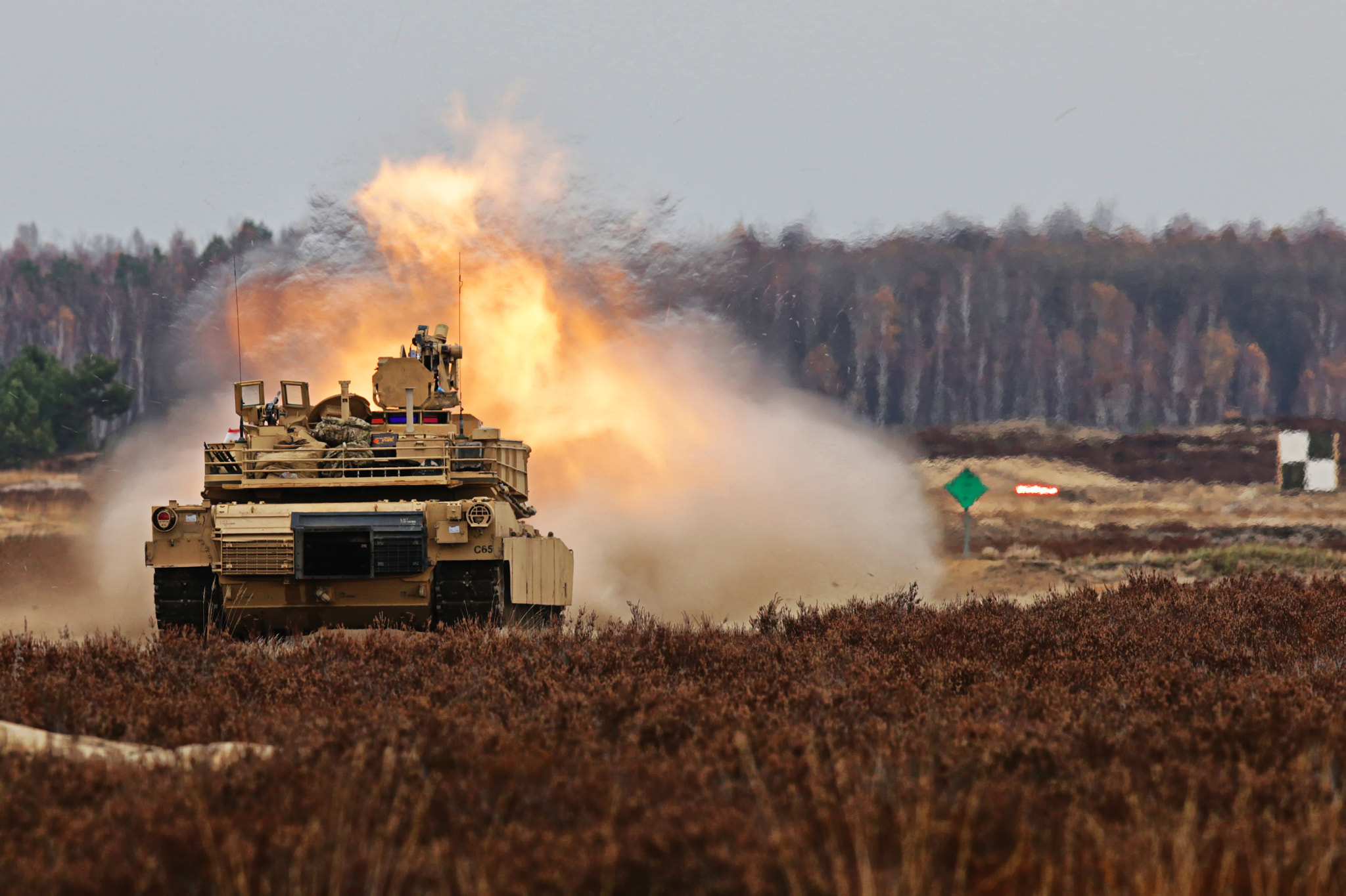 Canon EF 400mm F2.8L IS II USM sample photo. Tank photography
