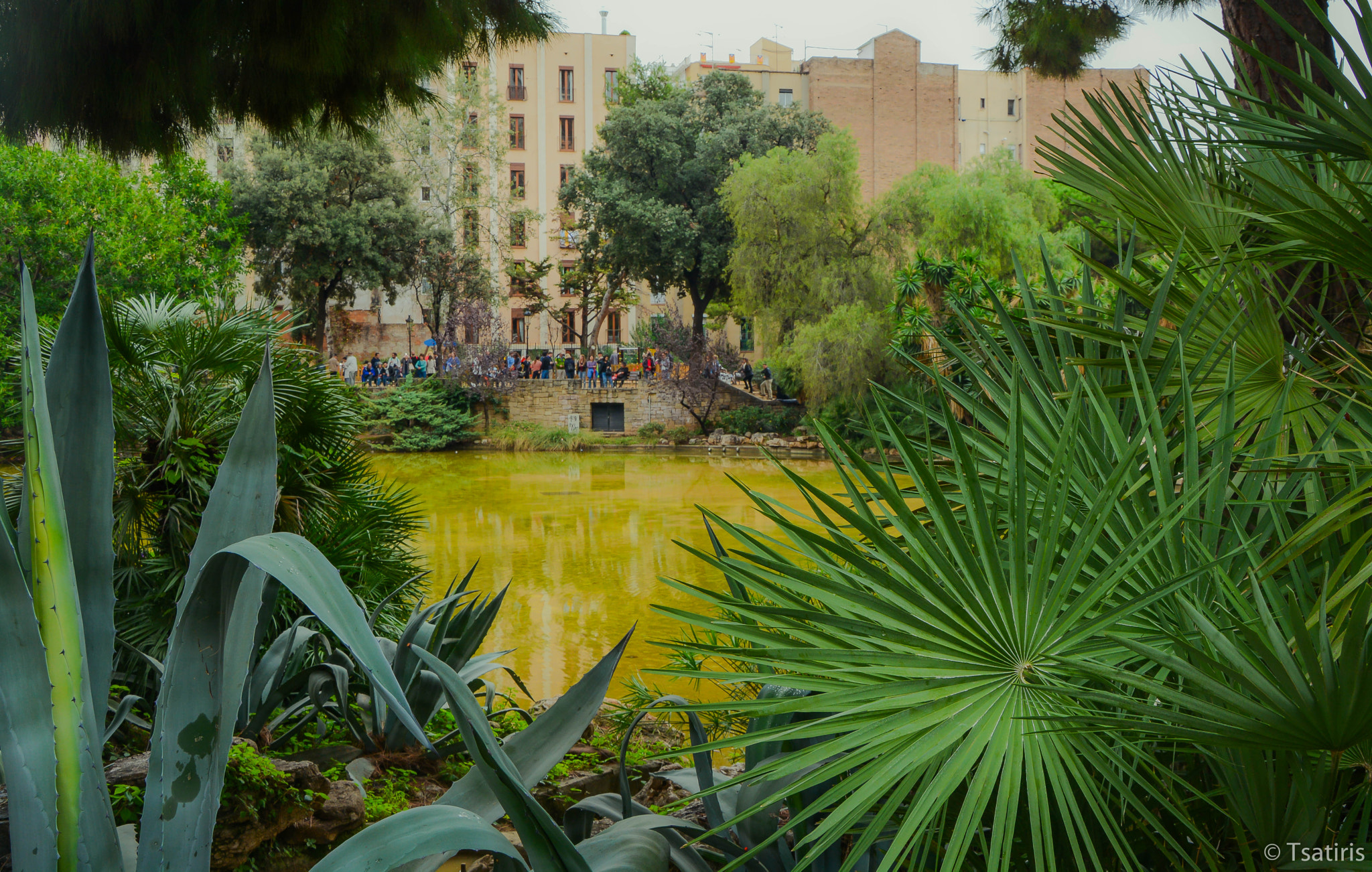 Very yellowish lake beside Sagrada Familie, Barcelona in October