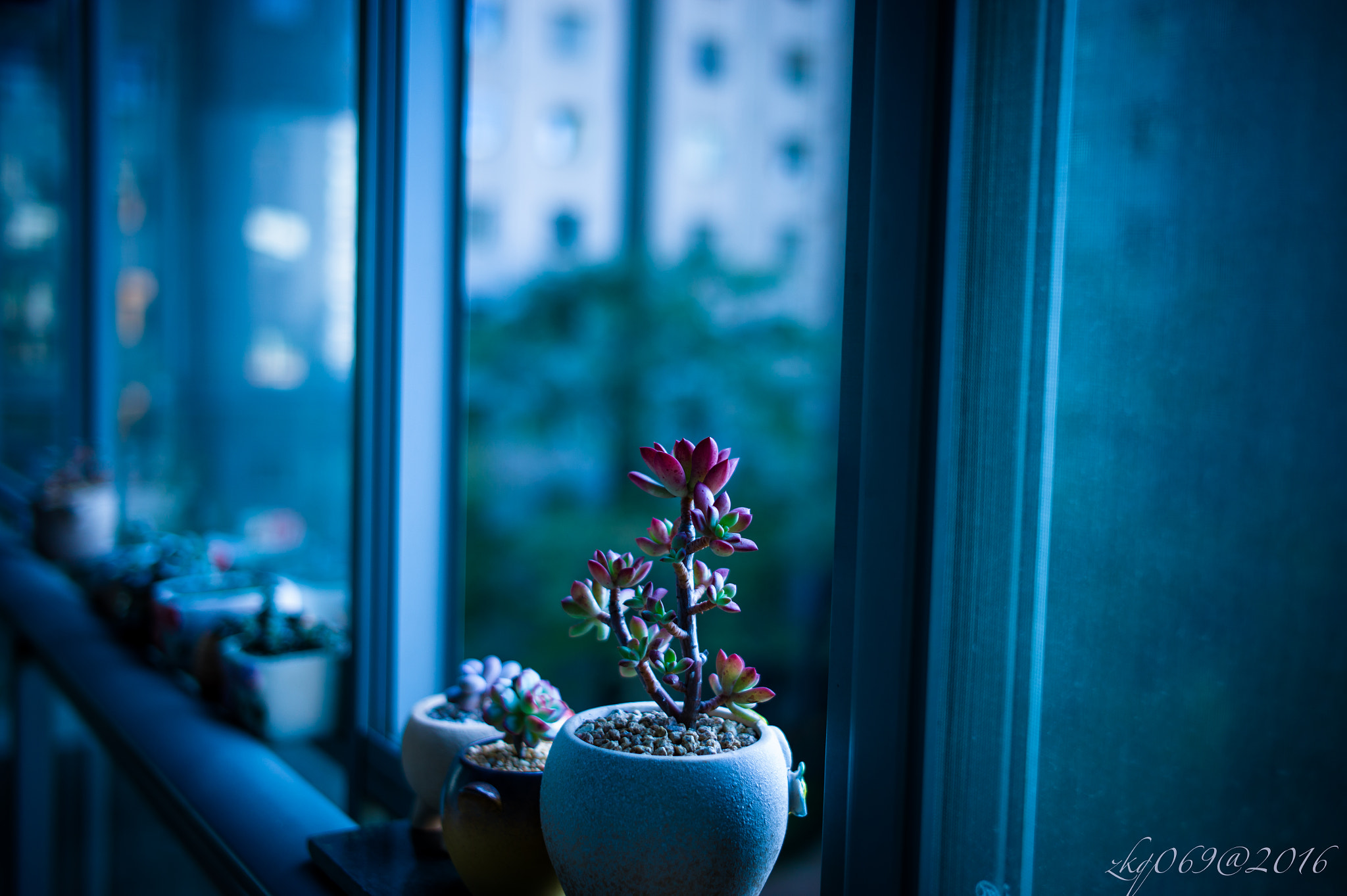 Leica M9 + Leica Summicron-M 35mm F2 ASPH sample photo