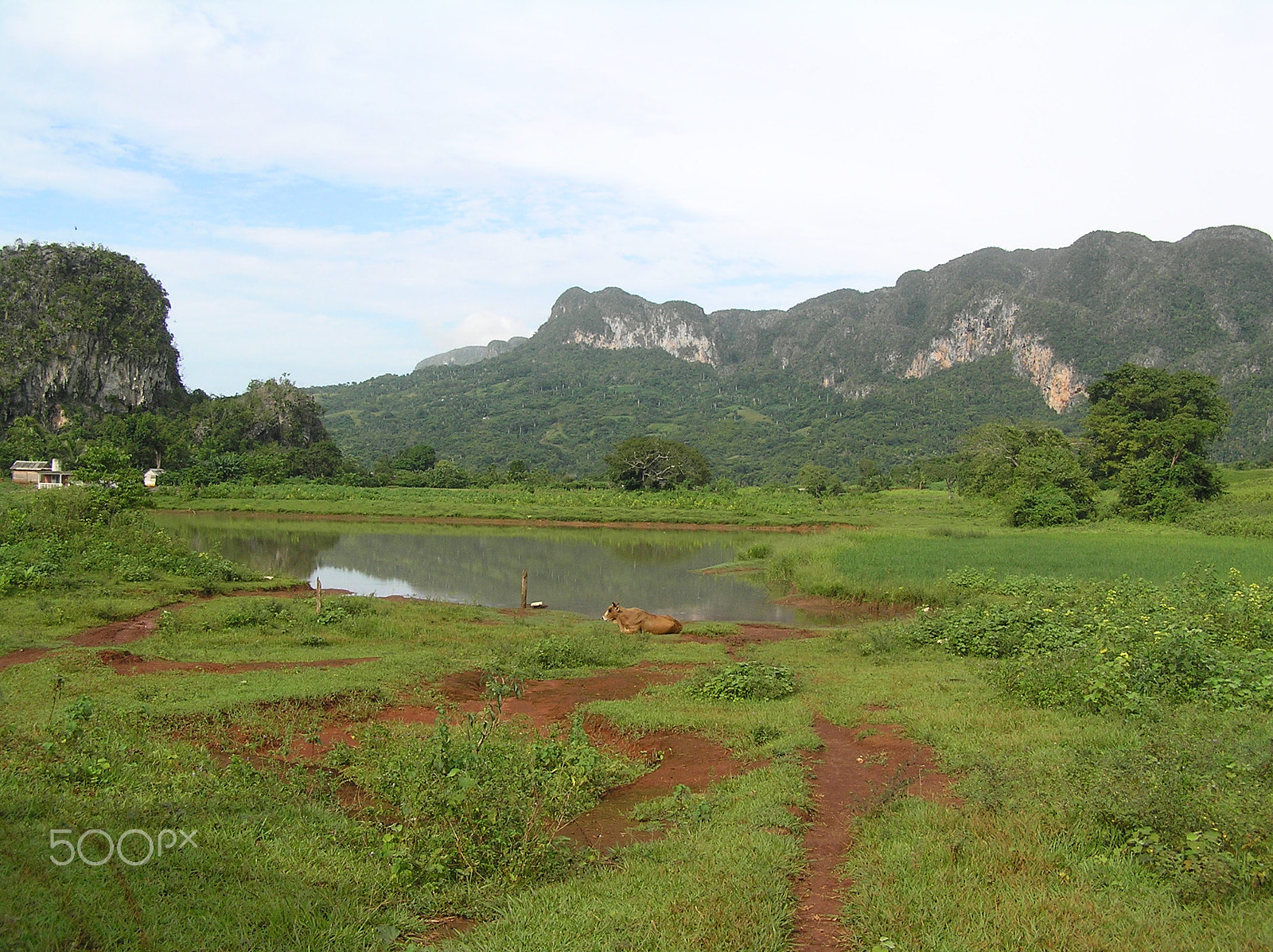 Olympus C765UZ sample photo. Pinar del rio landscape photography