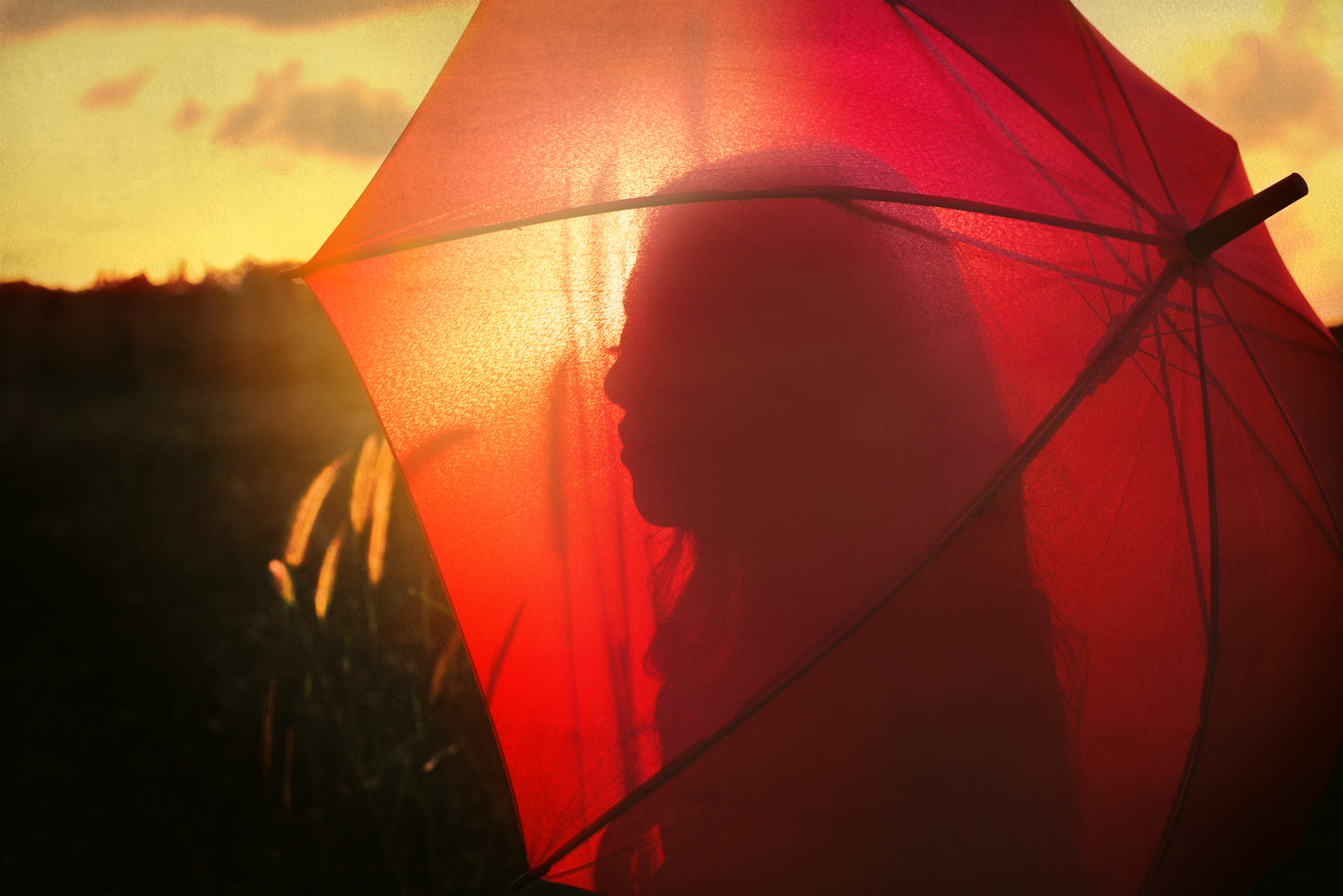 Nikon D610 + Nikon AF-S Nikkor 35mm F1.8G ED sample photo. What's left of day... photography