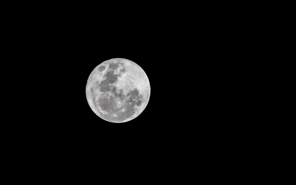Canon EOS 7D + Canon EF 300mm F4L IS USM sample photo. Mg photography