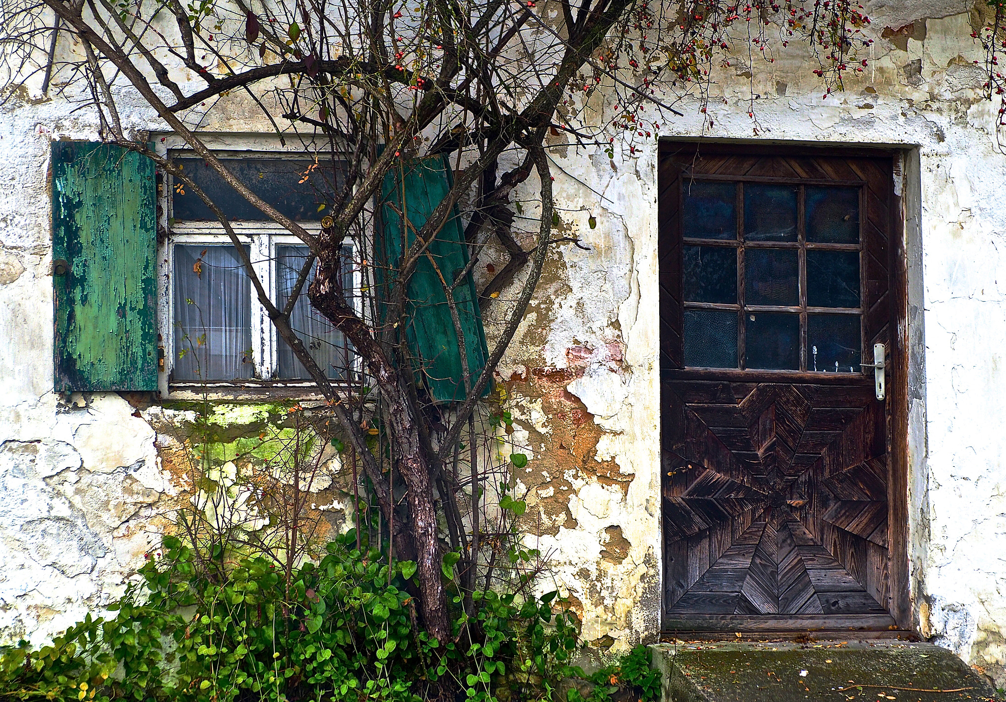 Olympus OM-D E-M5 II sample photo. Alte bayern photography